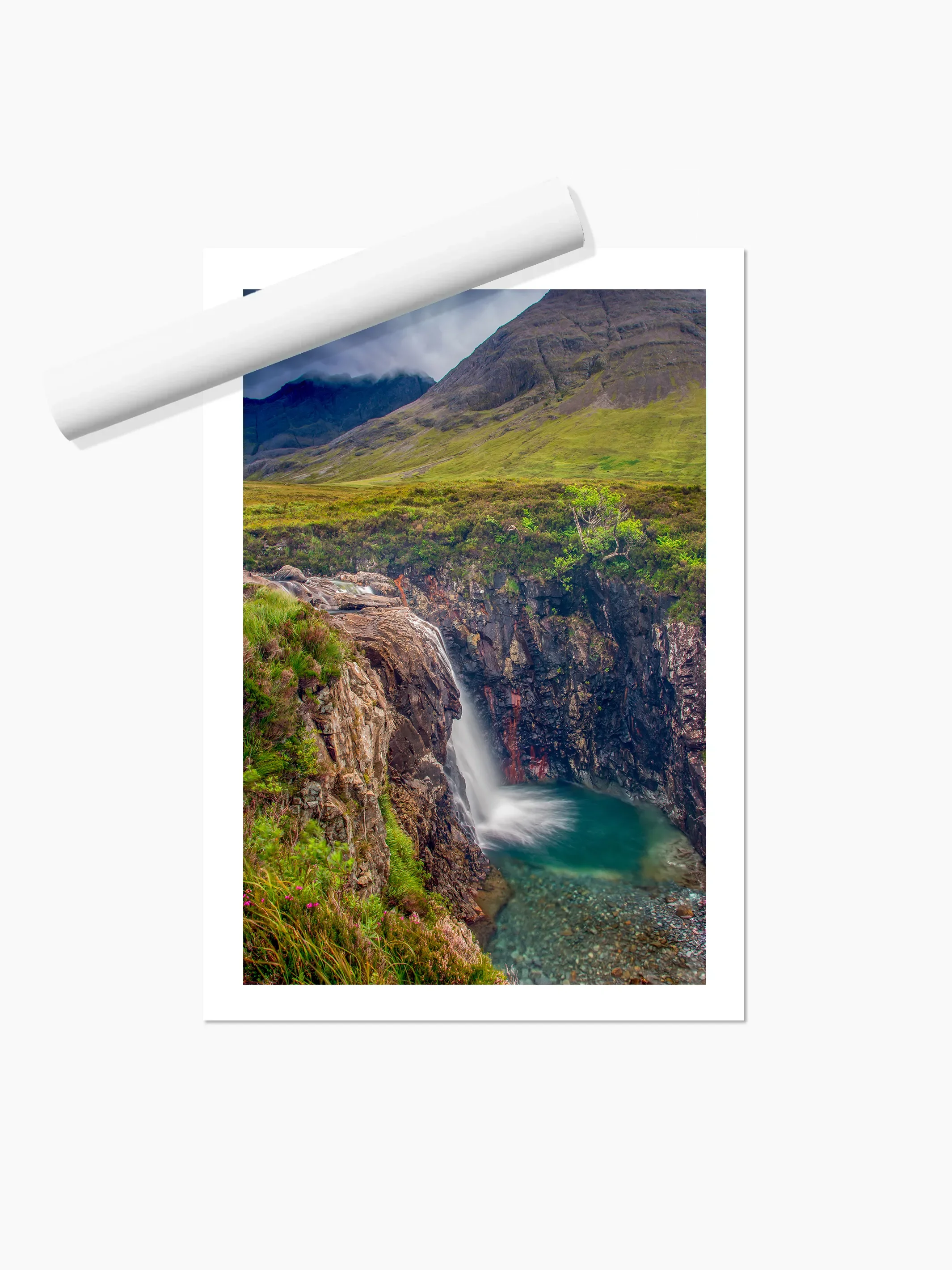 Portrait_print copy.webp