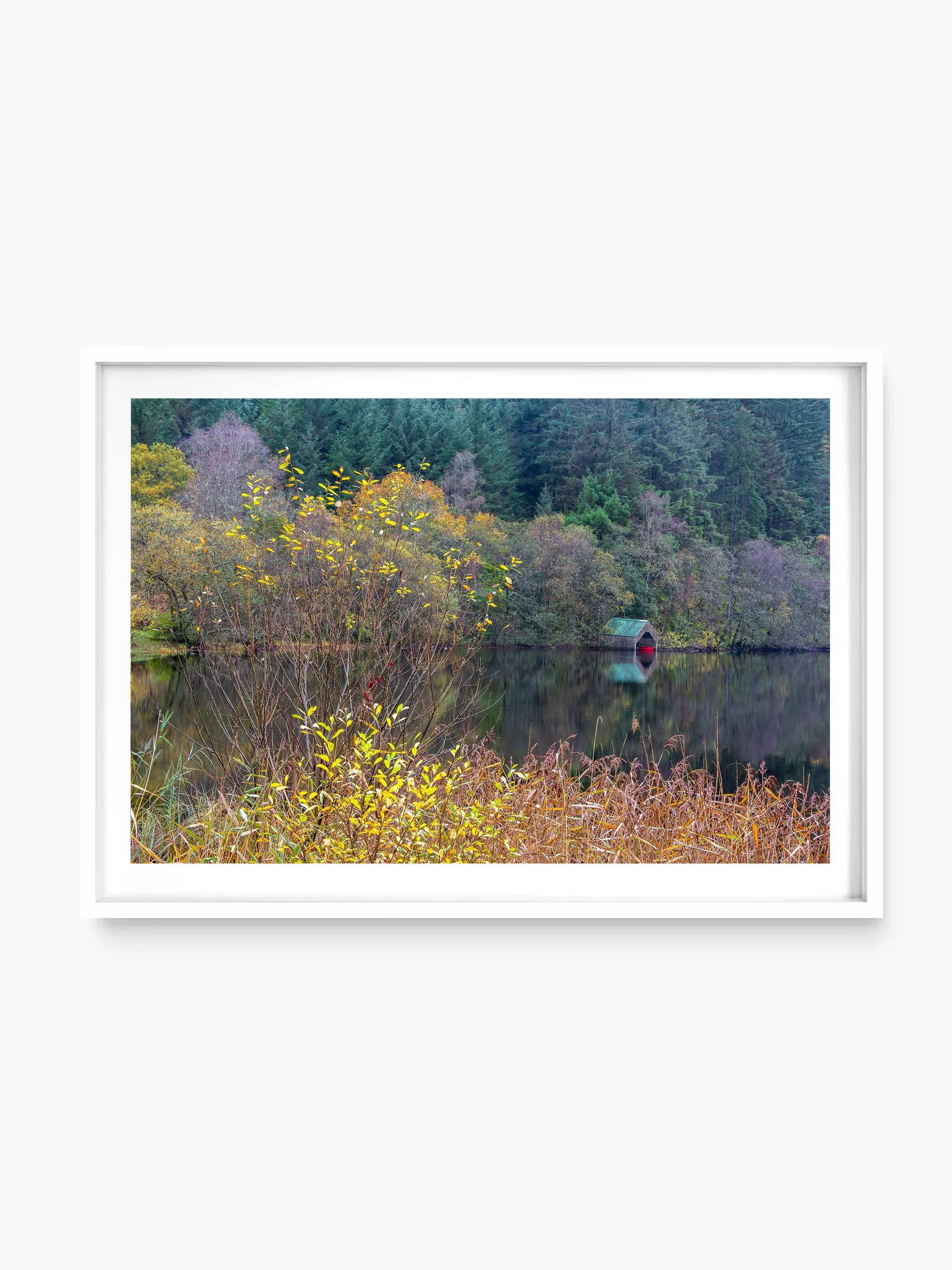 Loch Ard, The Trossachs National Park