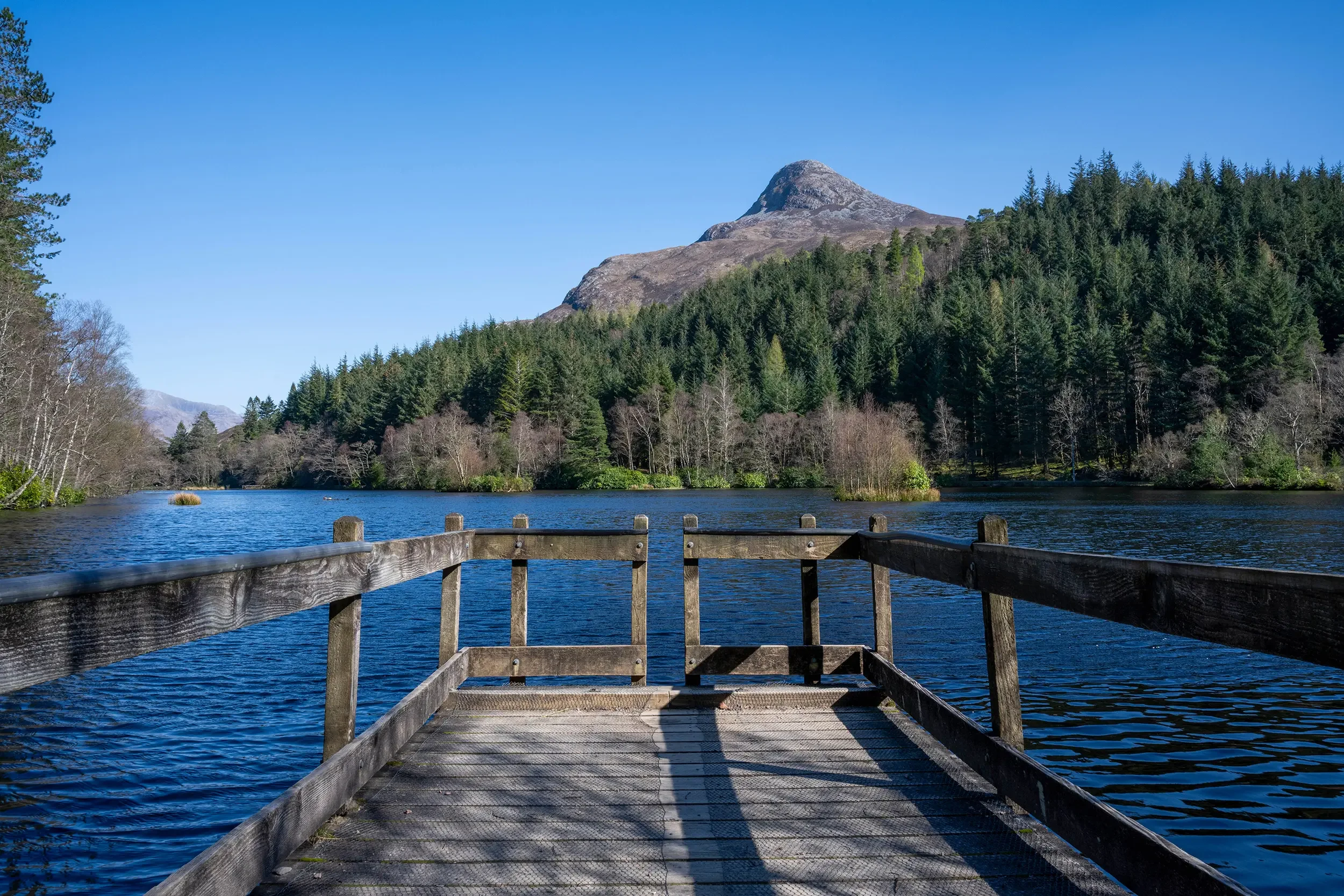 20250403-DSC_6854 copy 2.webp