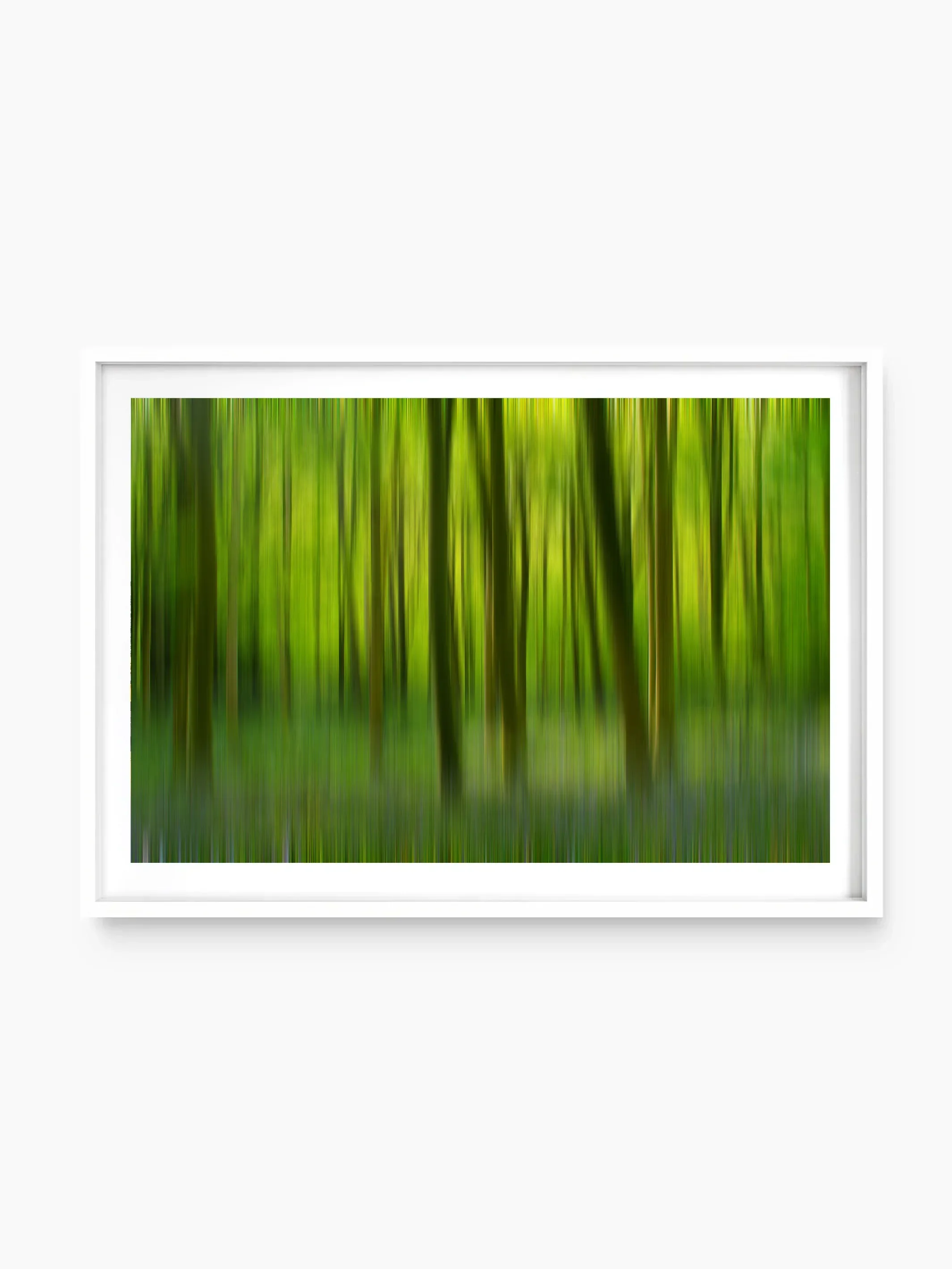Dalkeith Country Park - abstract