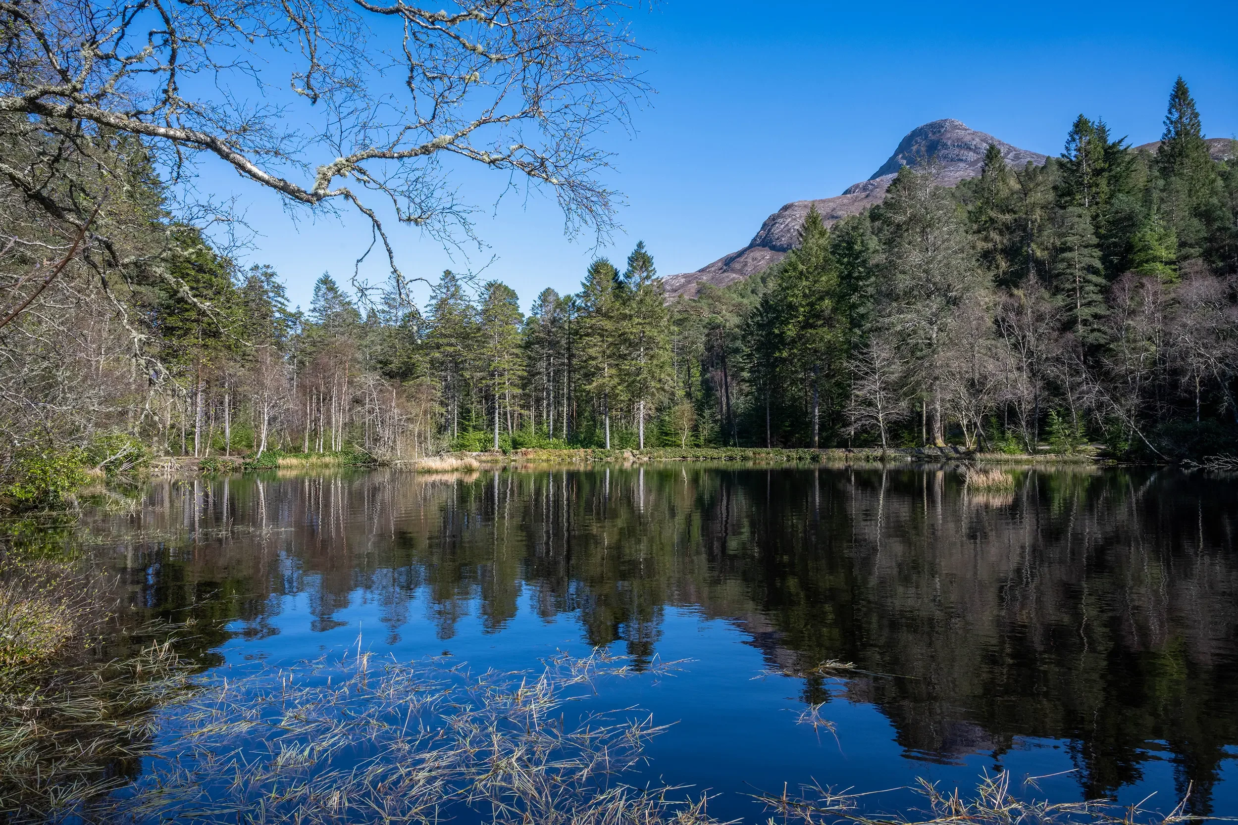Glencoe Lochan, Nr Glencoe