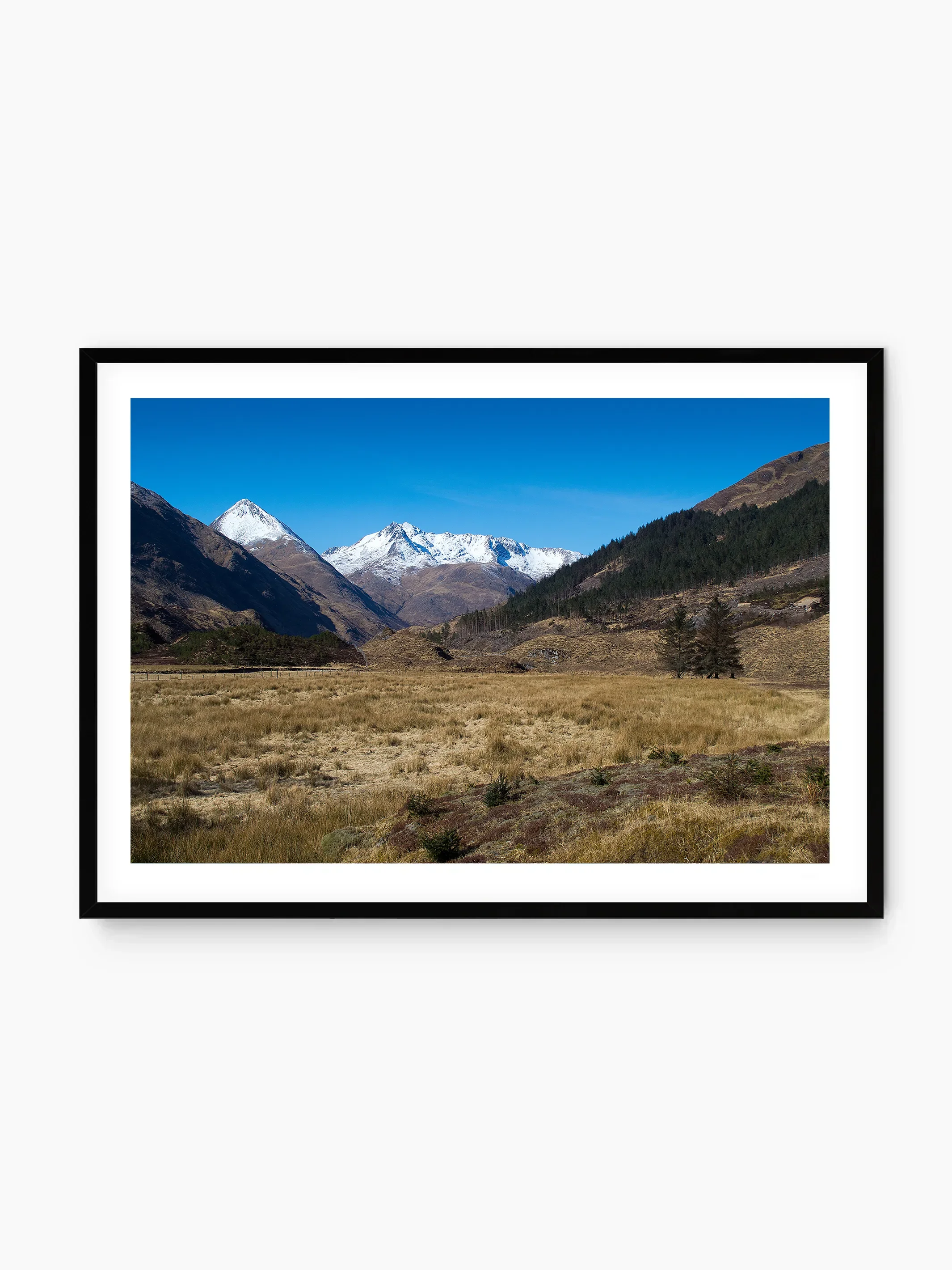 black_template copy.webp