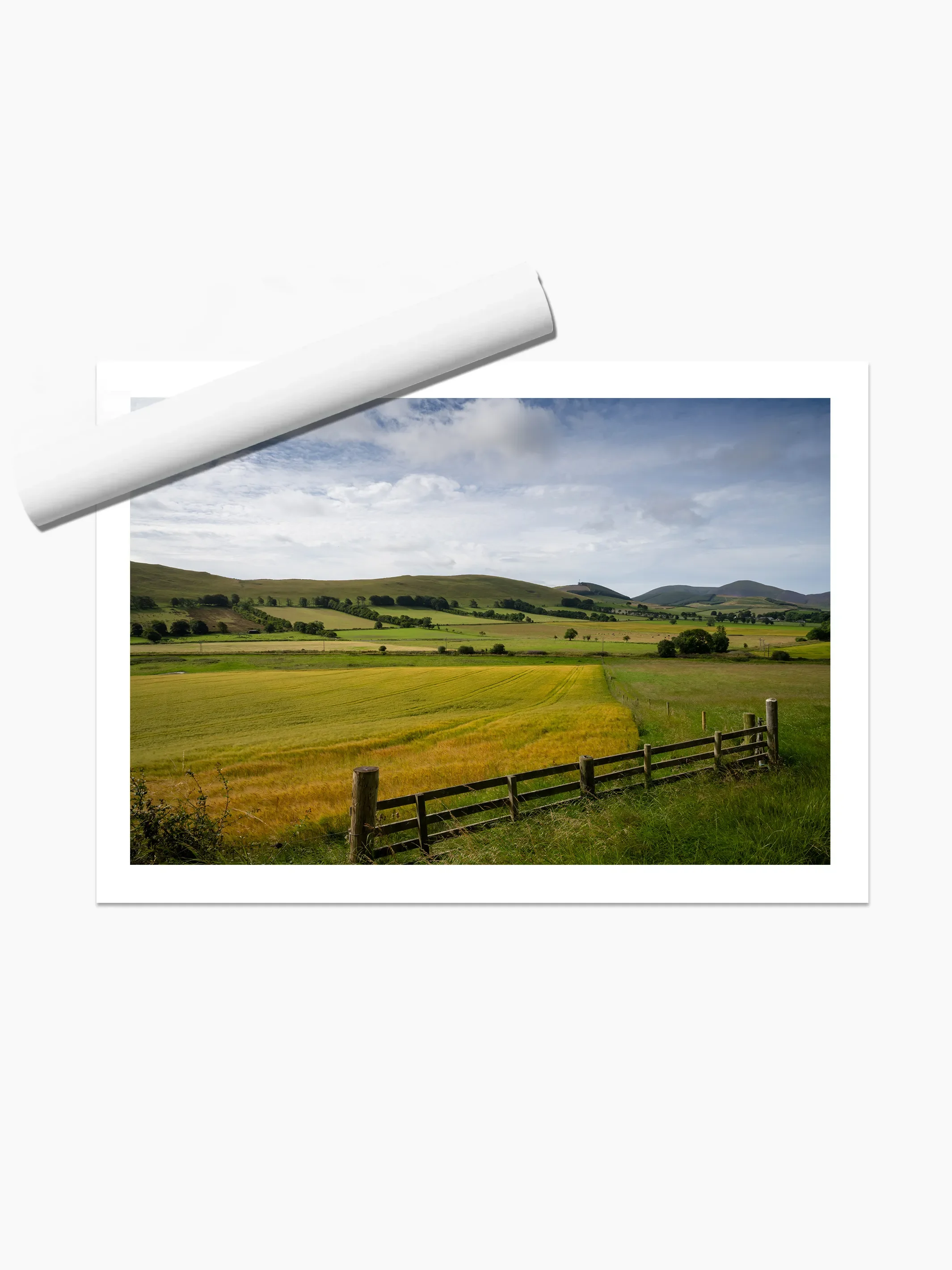 print template copy.webp