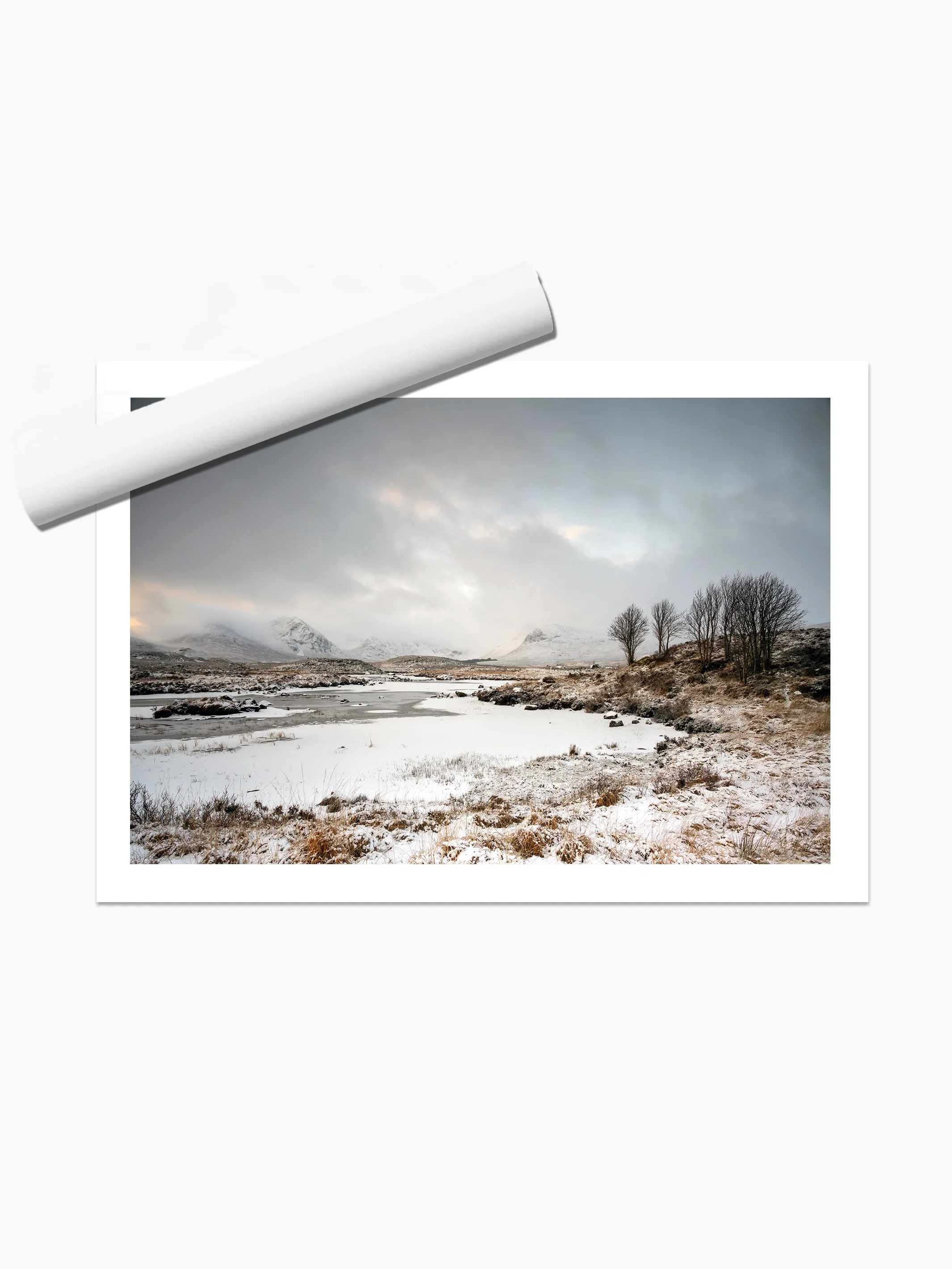 print template copy.webp