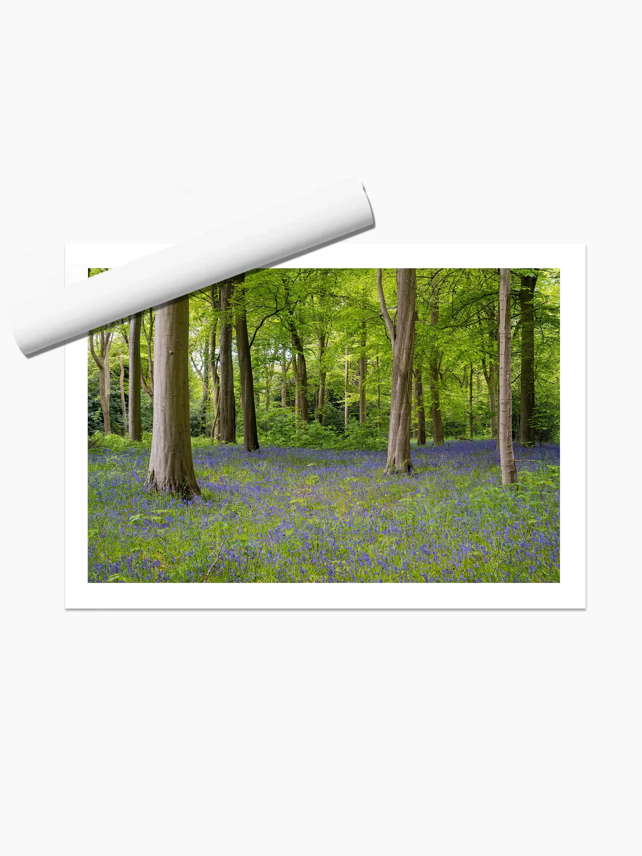 print template copy.webp