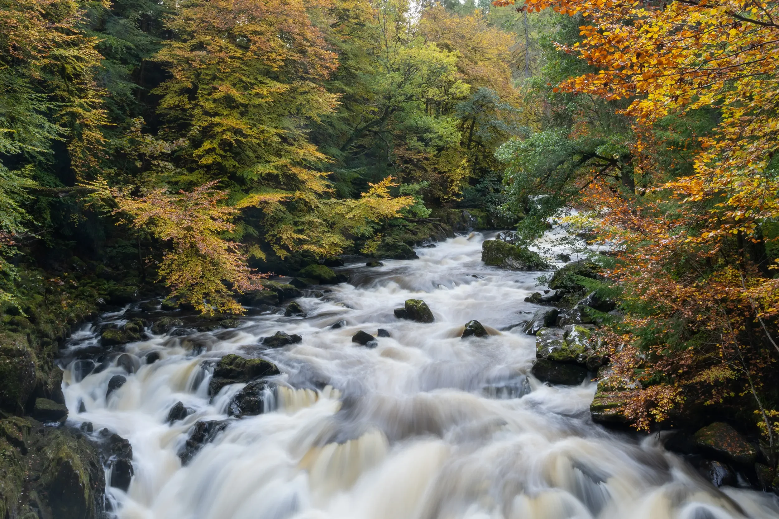 The Hermitage, Perth