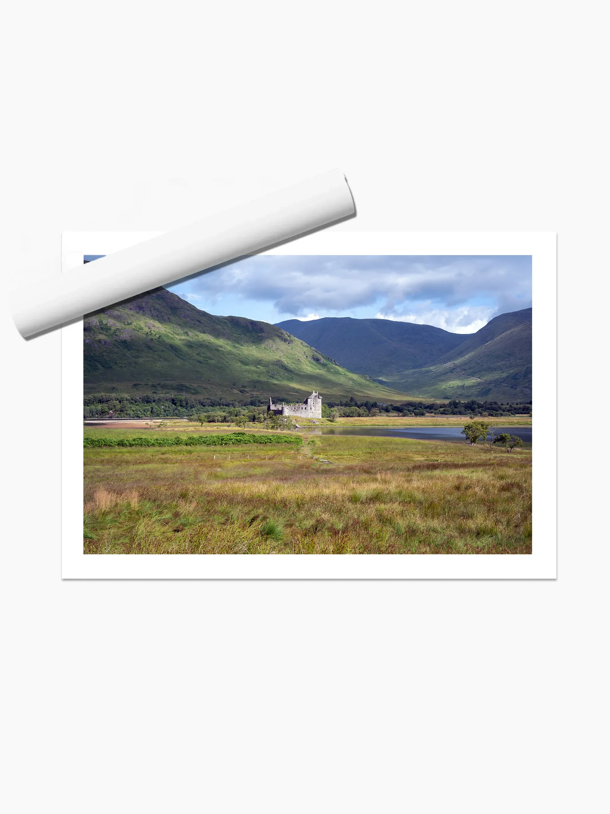 print template copy.webp