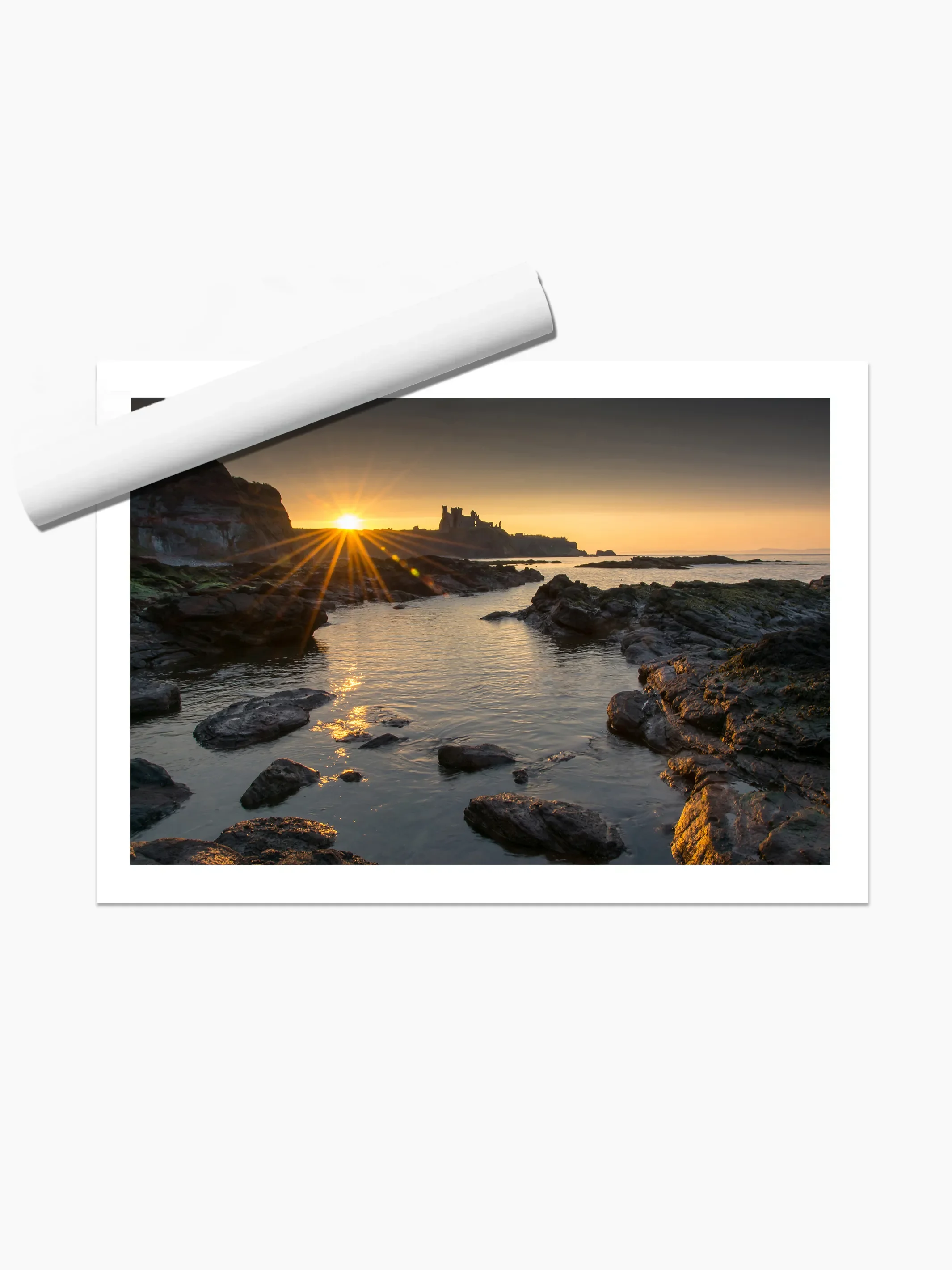 print template copy.webp