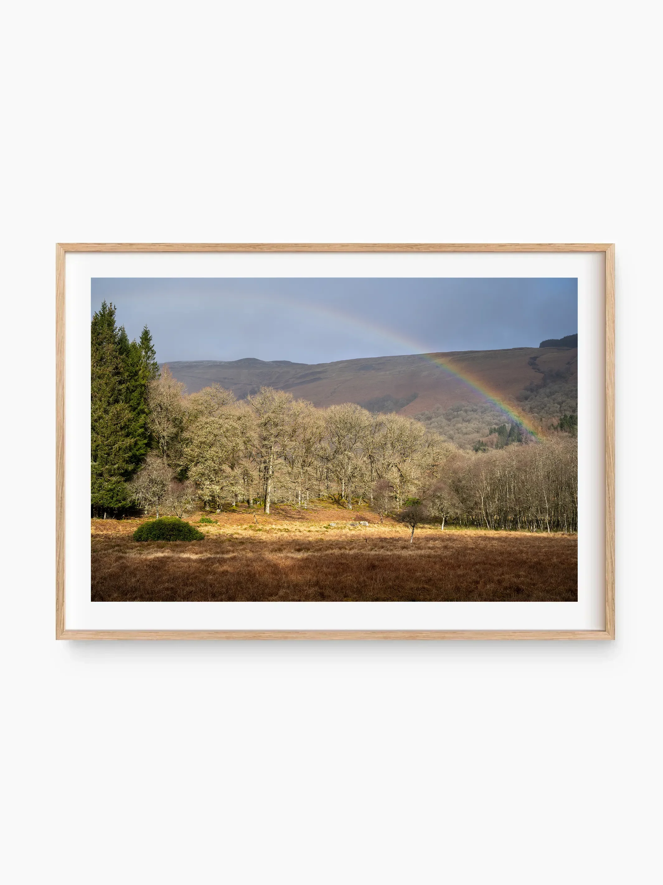 beech_template copy.webp