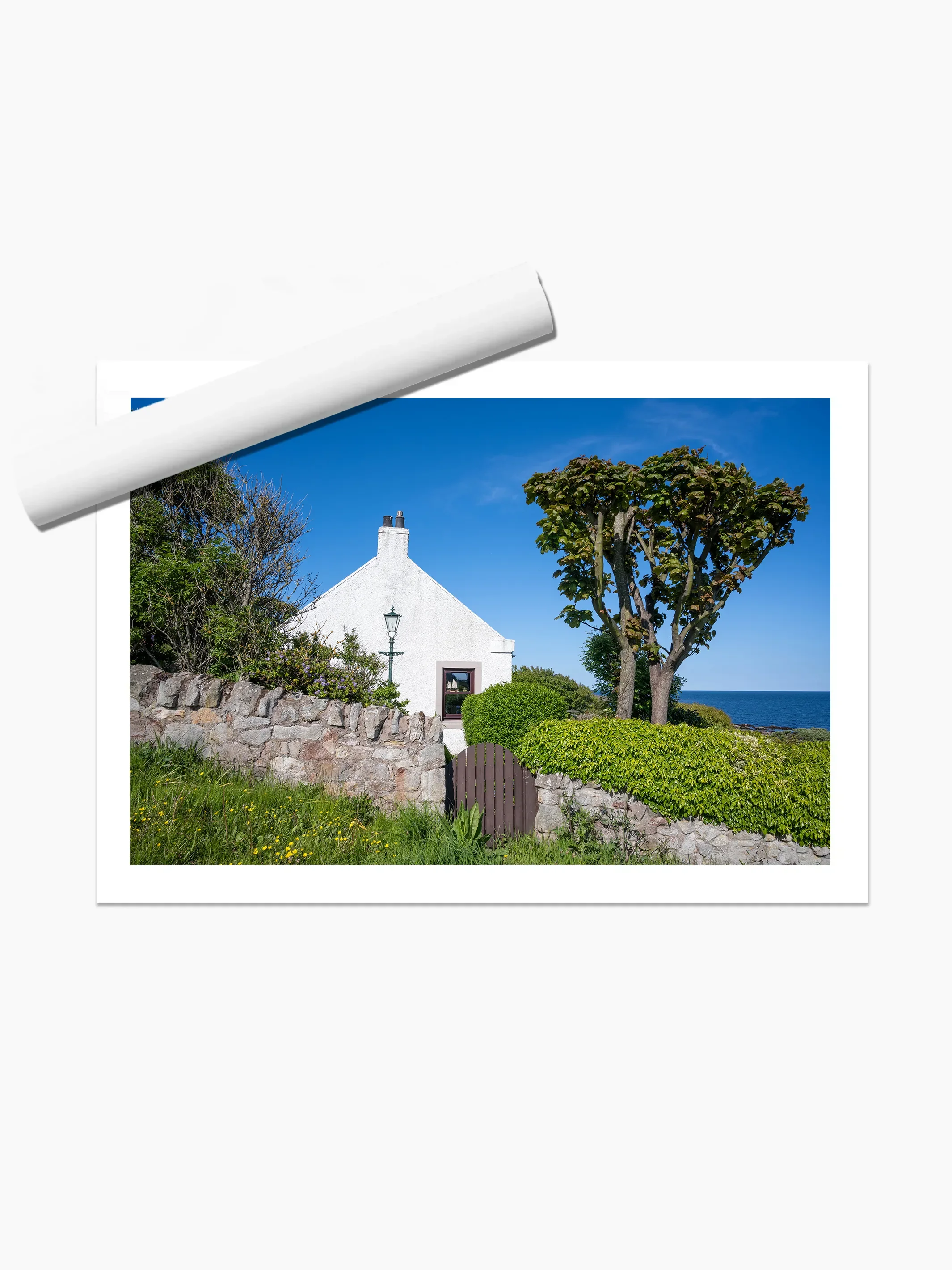 print template copy.webp