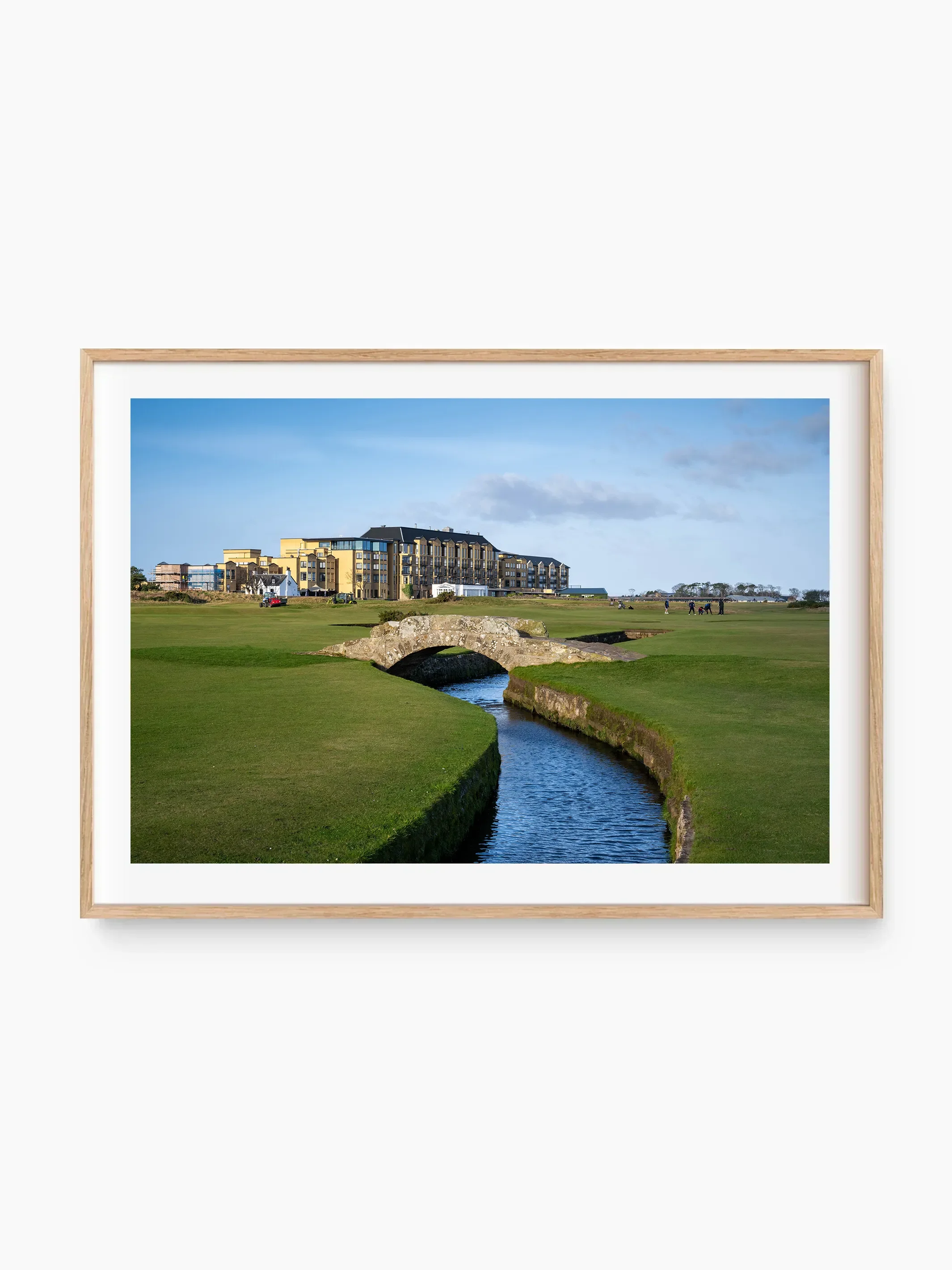 beech_template copy.webp