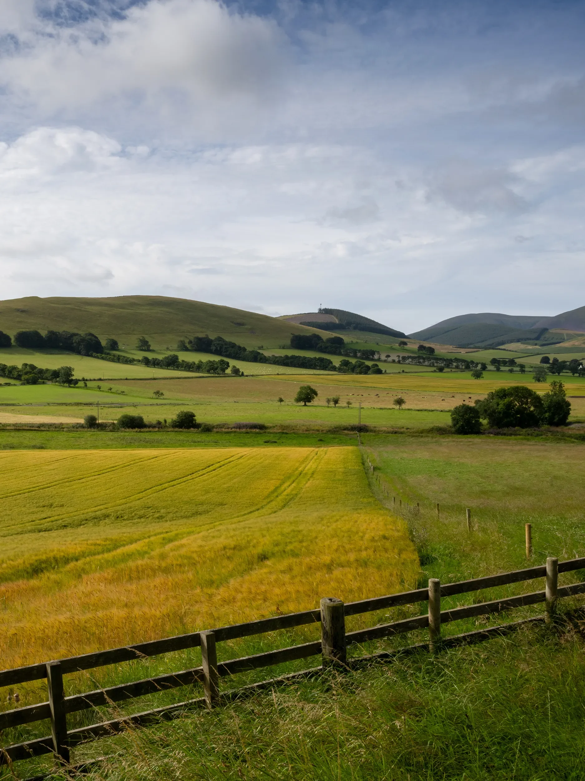 A large rocky island with a small white lighthouse and buildings on the shore, surrounded by blue ocean under clear blue sky.