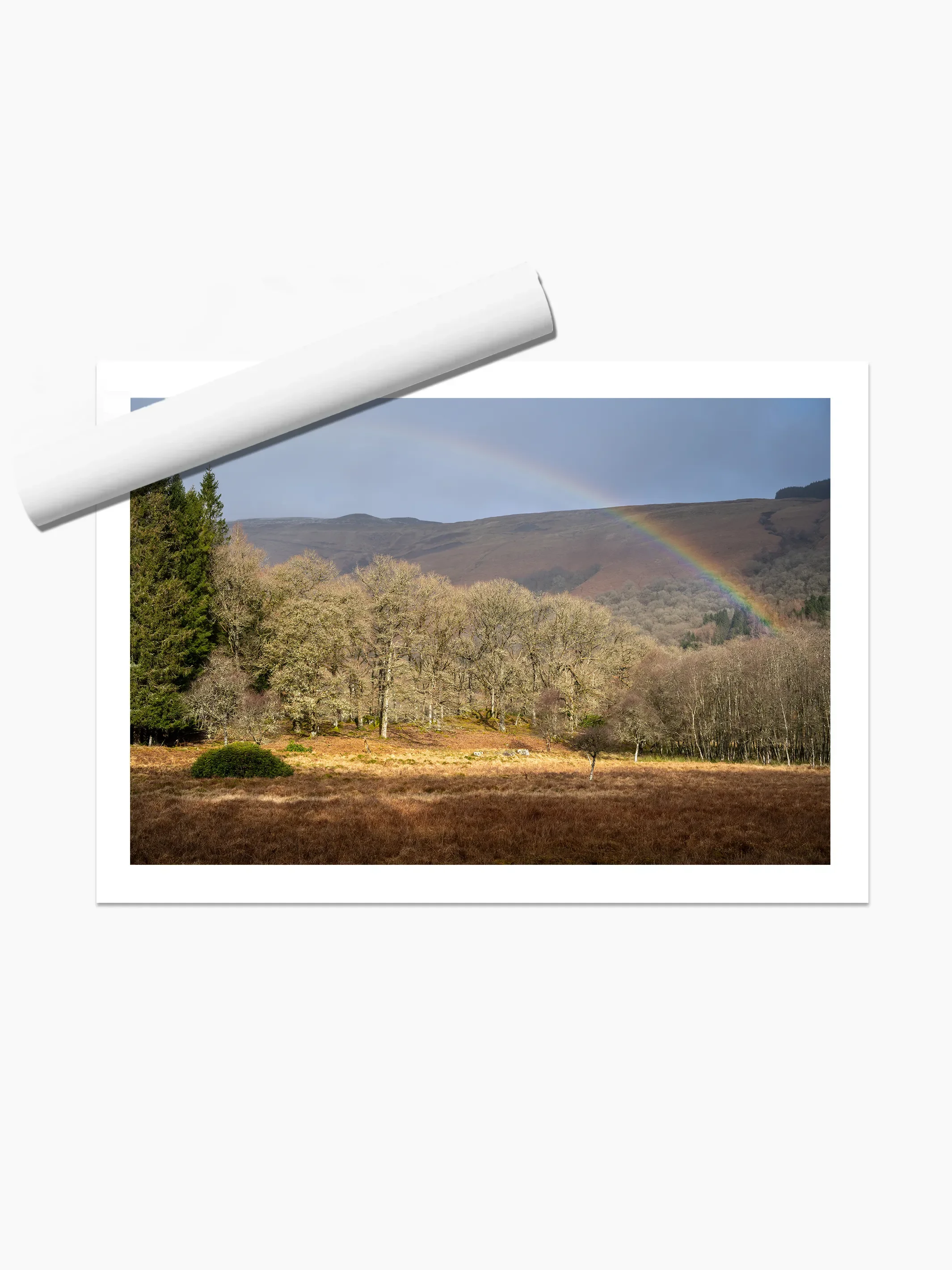 print template copy.webp