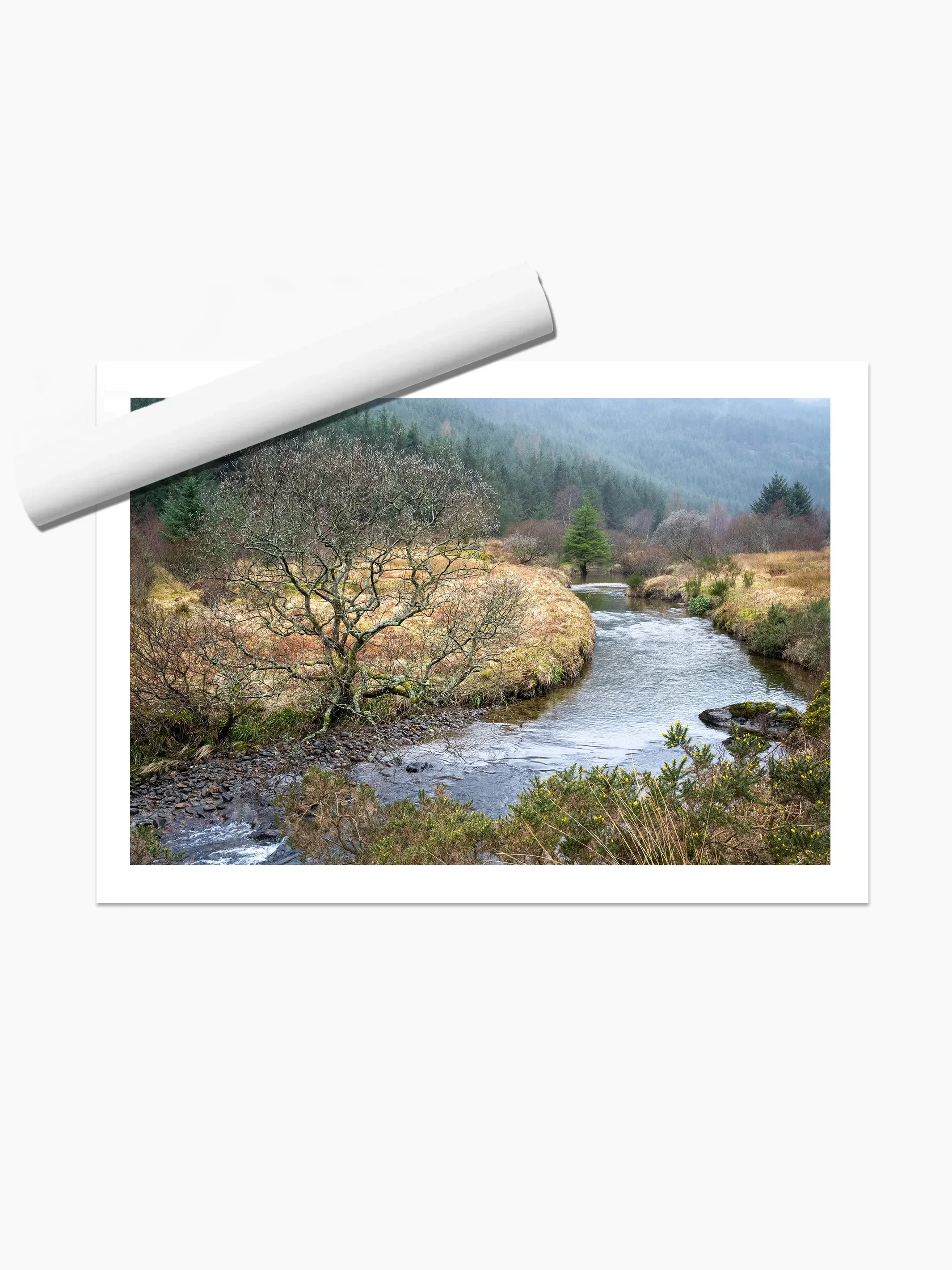 print template copy.webp