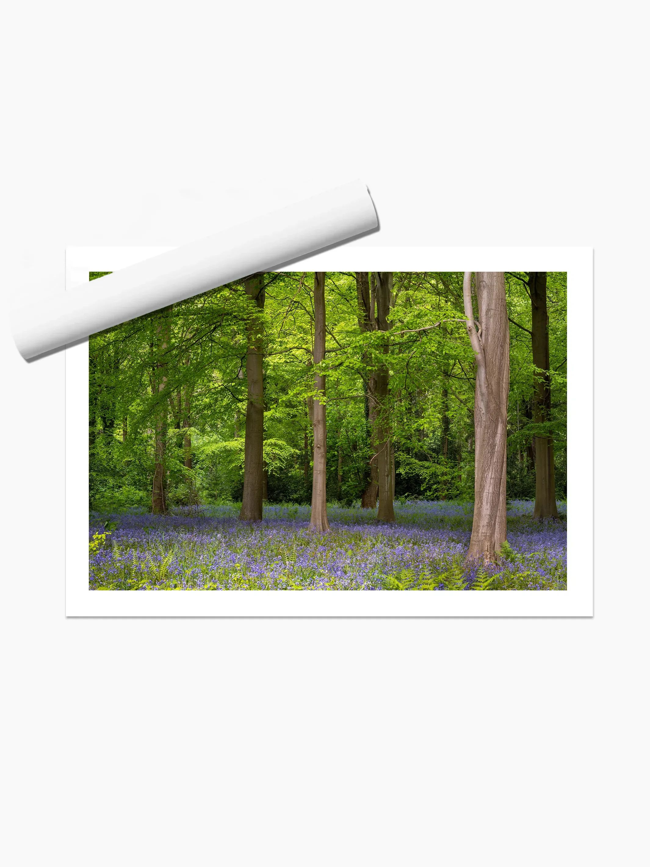 print template copy.webp