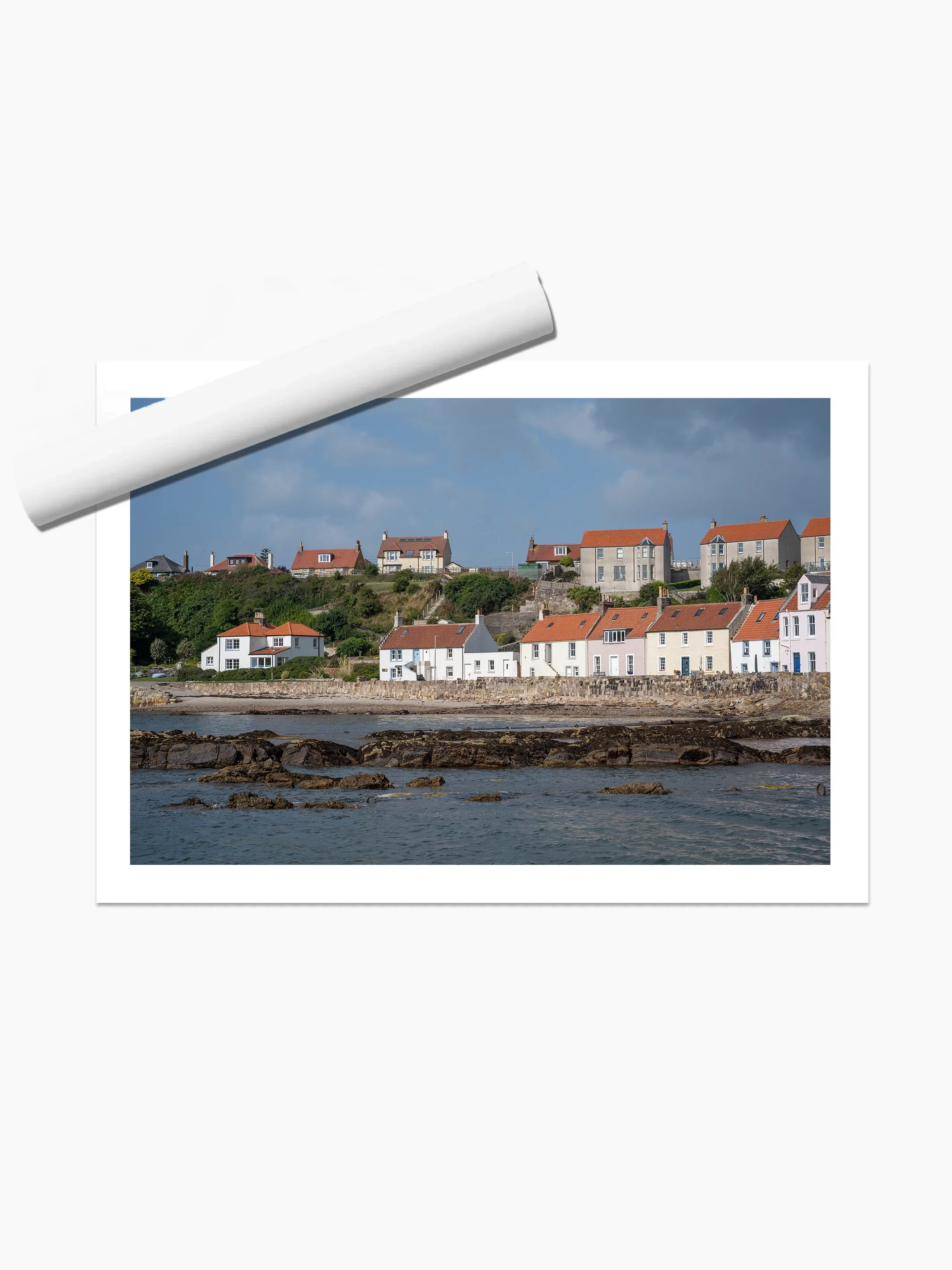 print template copy.webp