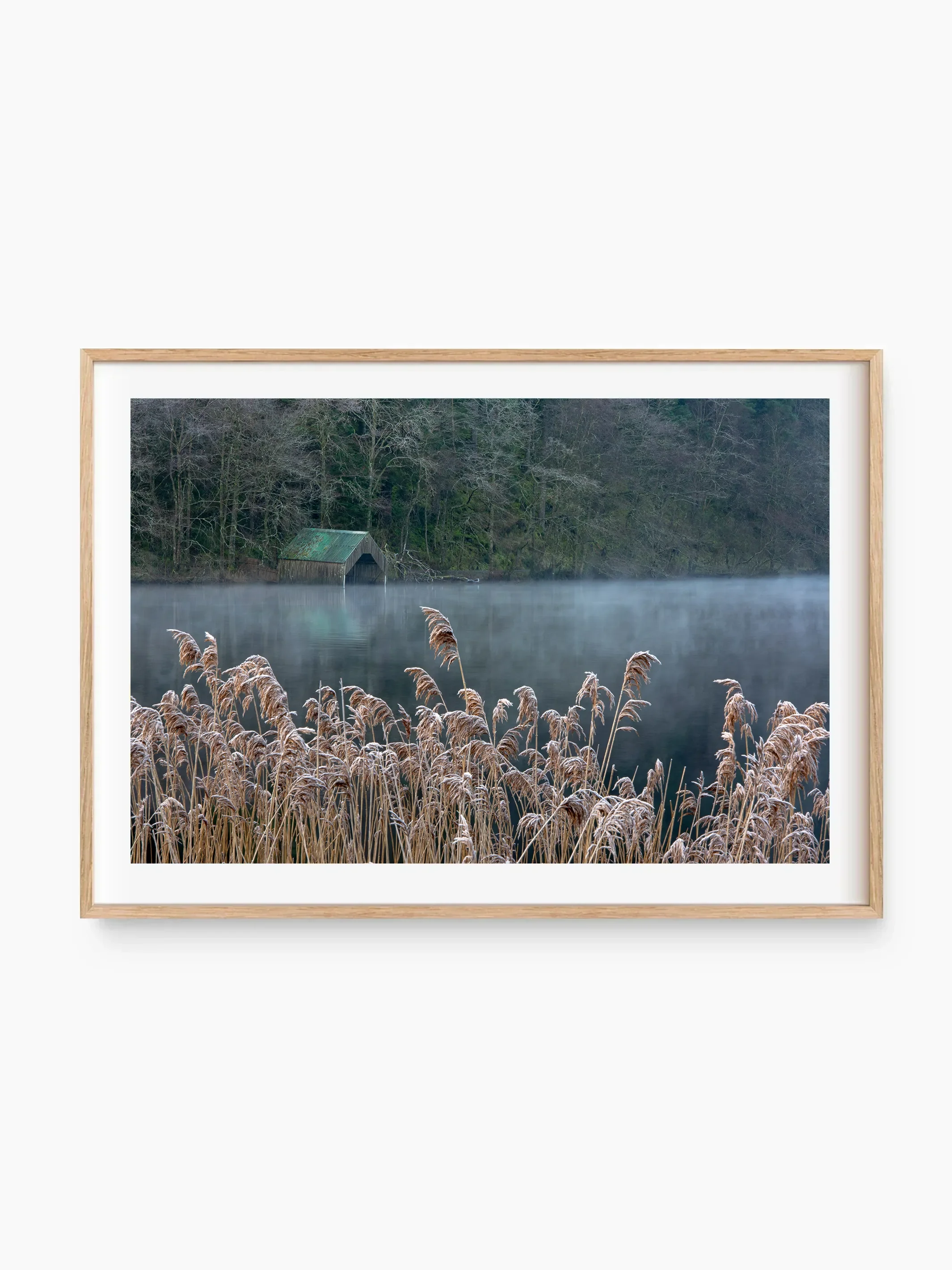 beech_template copy.webp