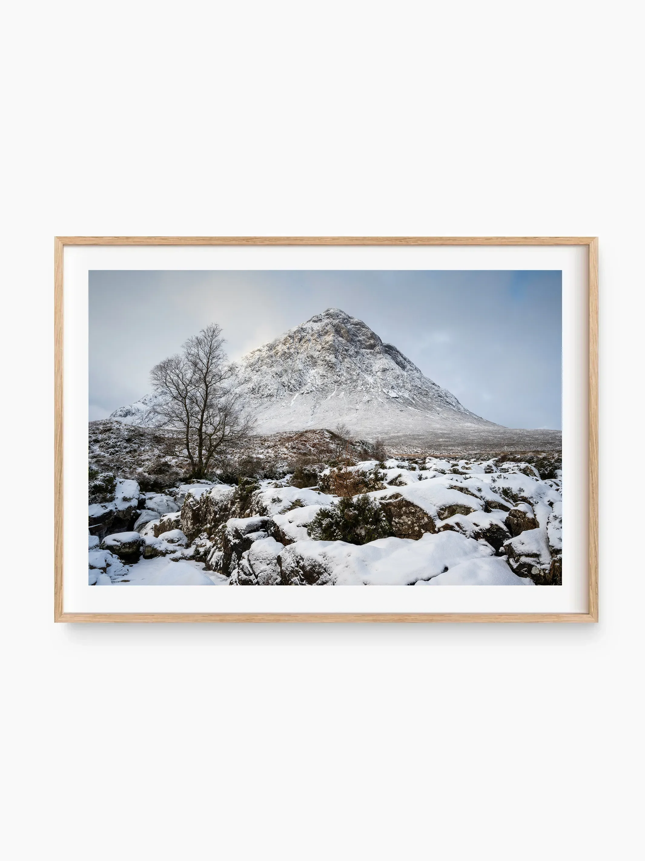 beech_template copy.webp