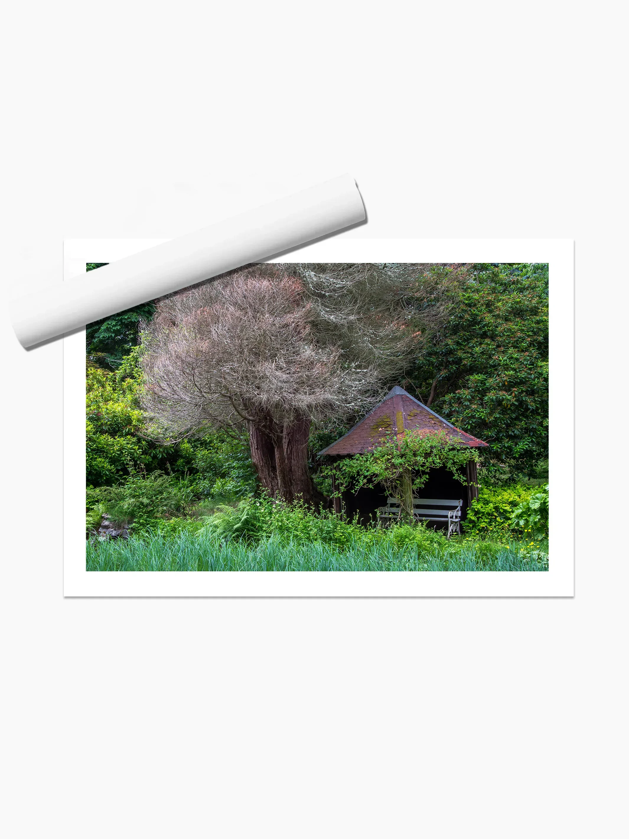 print template copy.webp