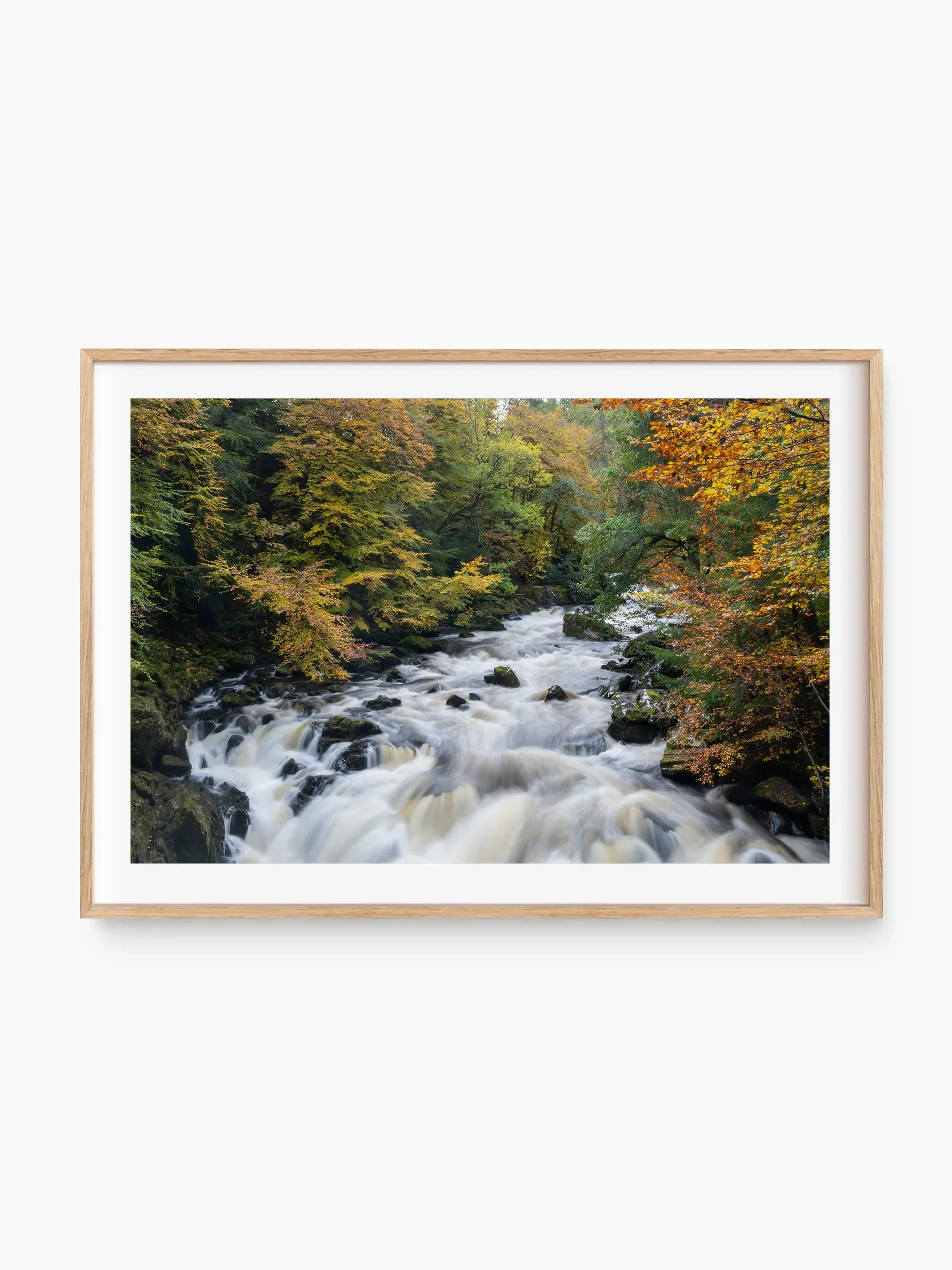 beech_template copy.webp