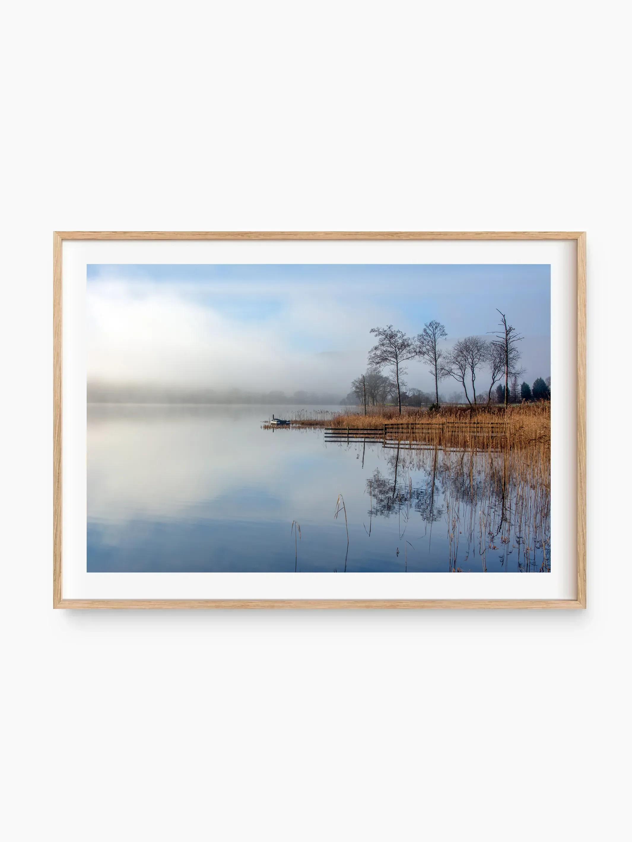 beech_template copy.webp