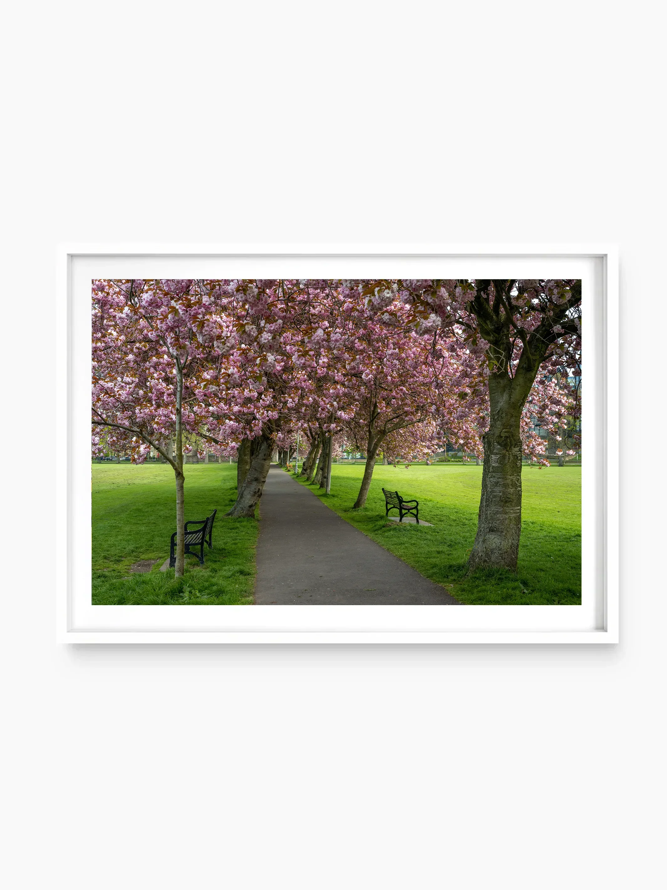 white_template copy.webp