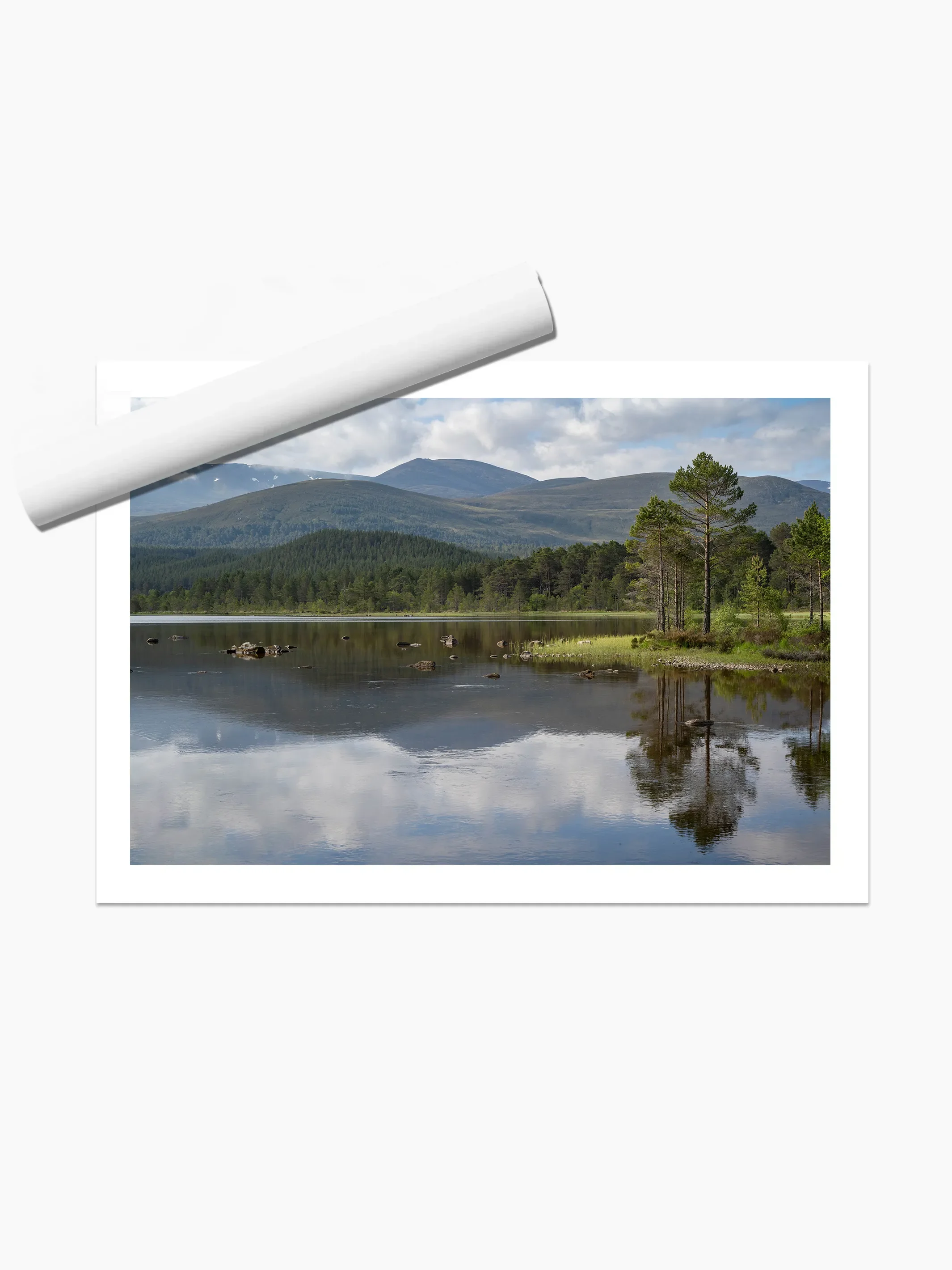 print template copy.webp
