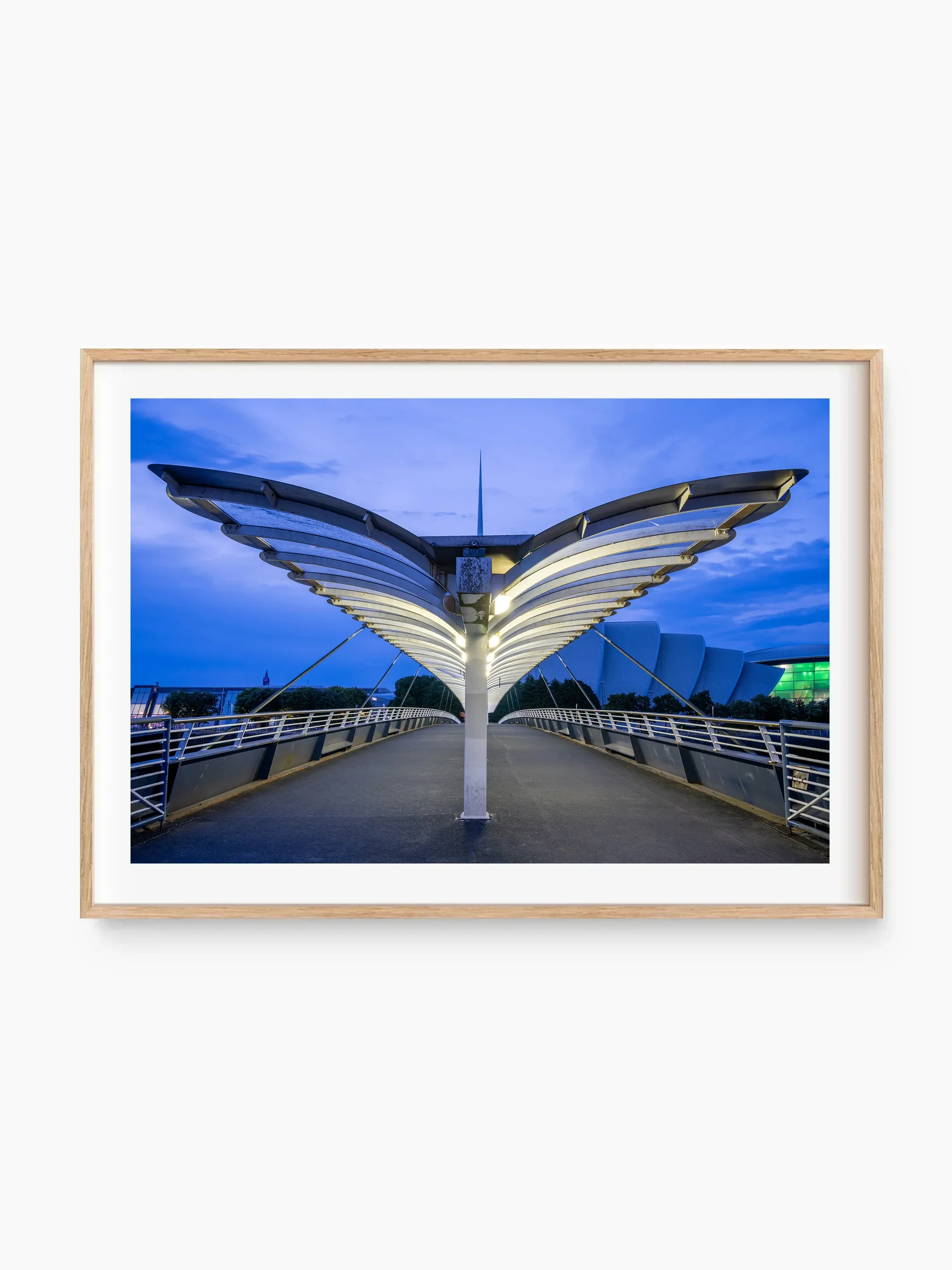 beech_template copy.webp