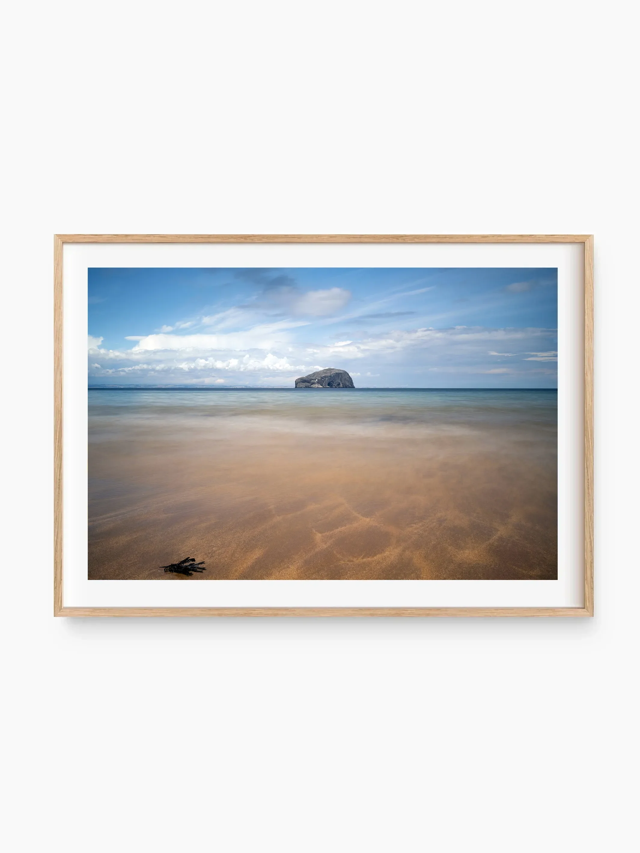 beech_template copy.webp