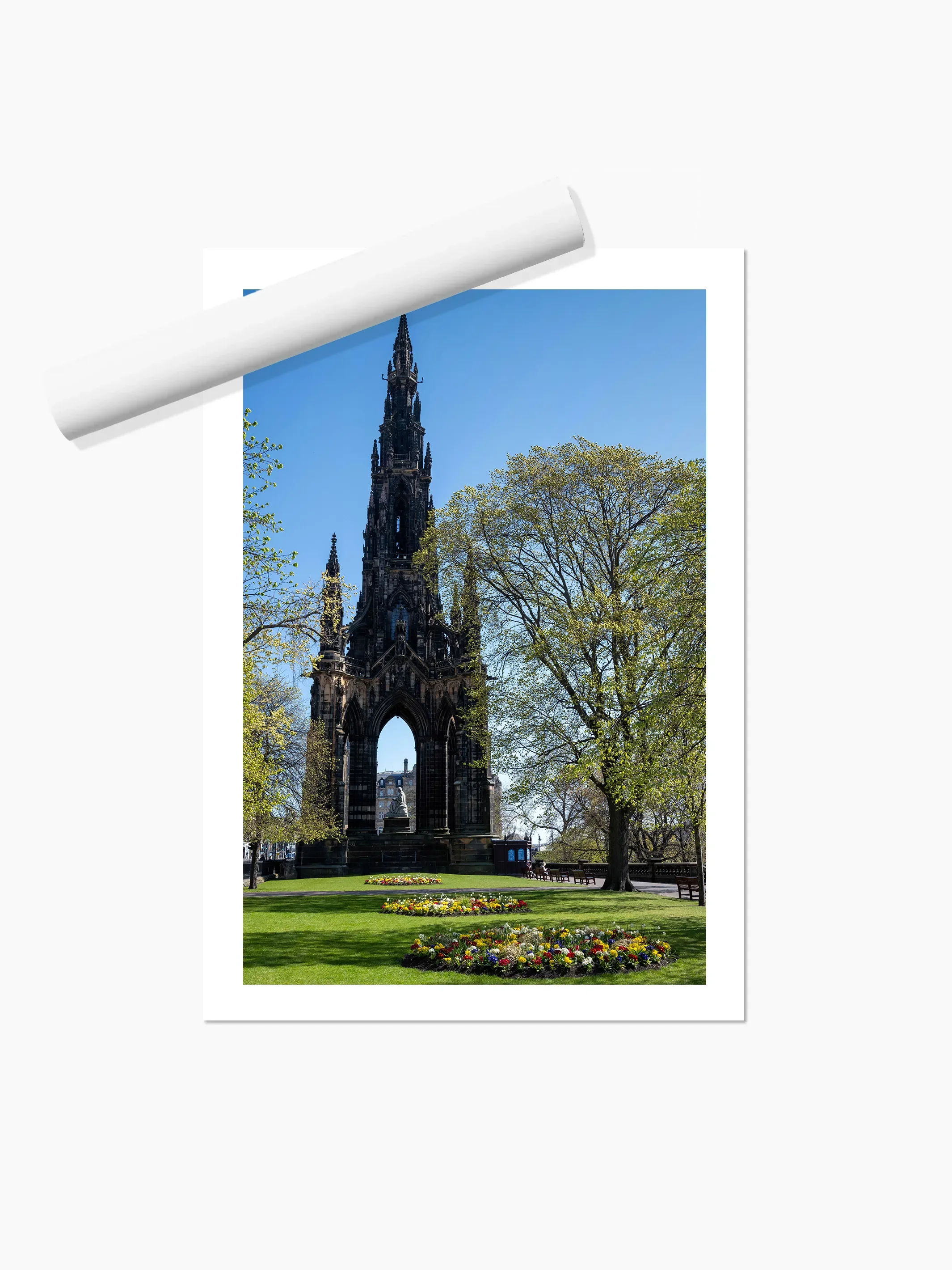 Portrait_print copy.webp