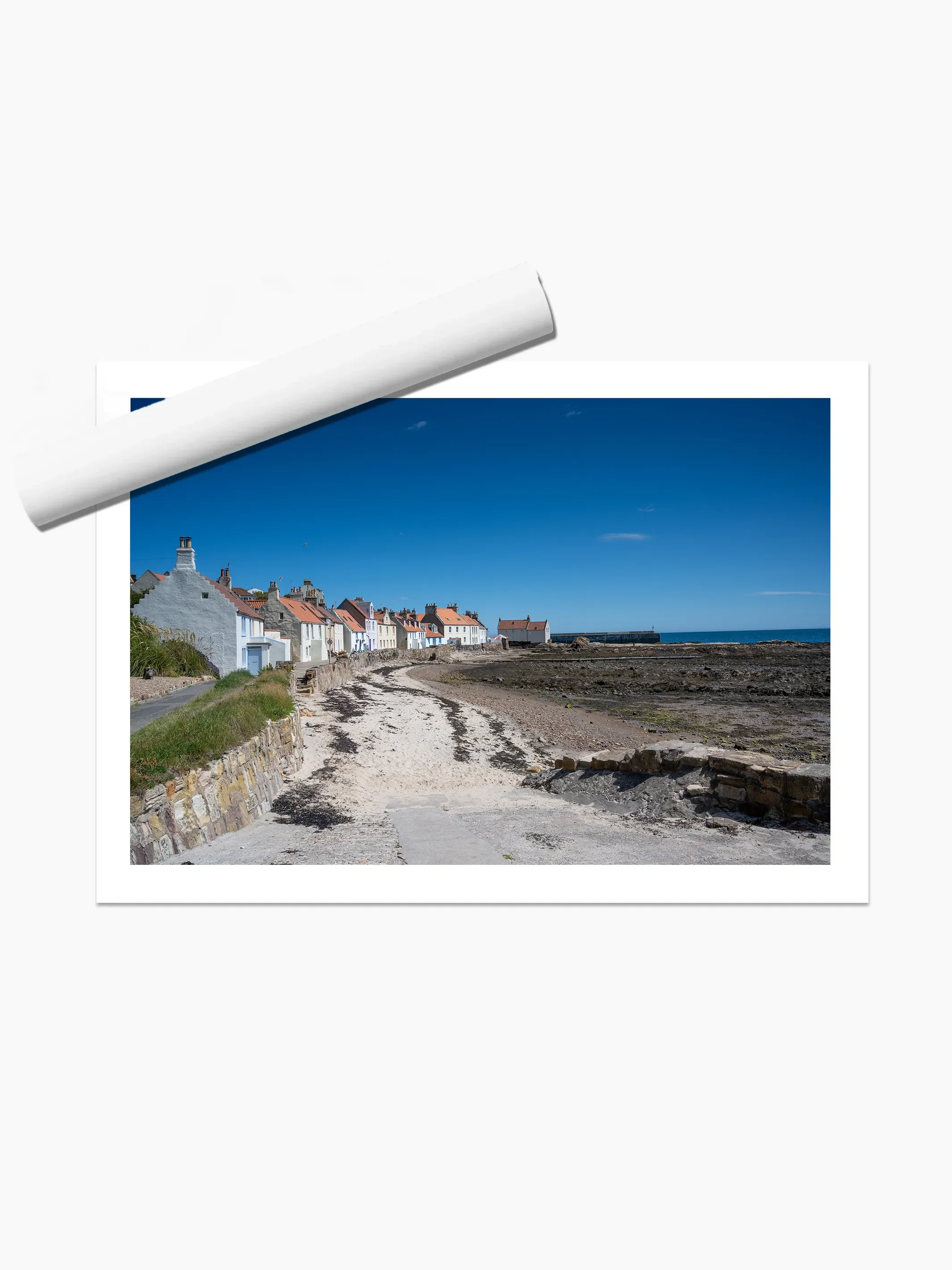 print template copy.webp