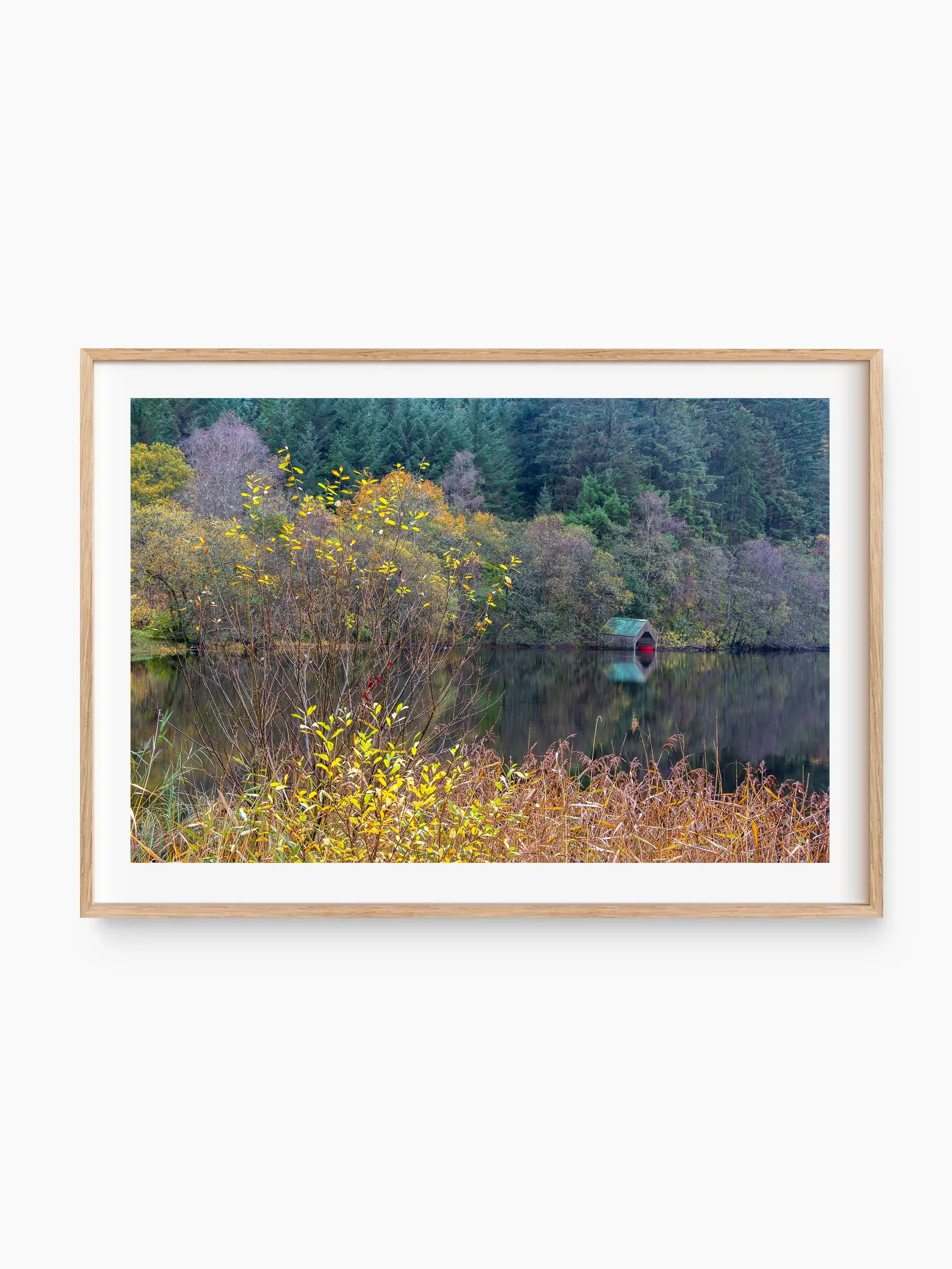 beech_template copy.webp