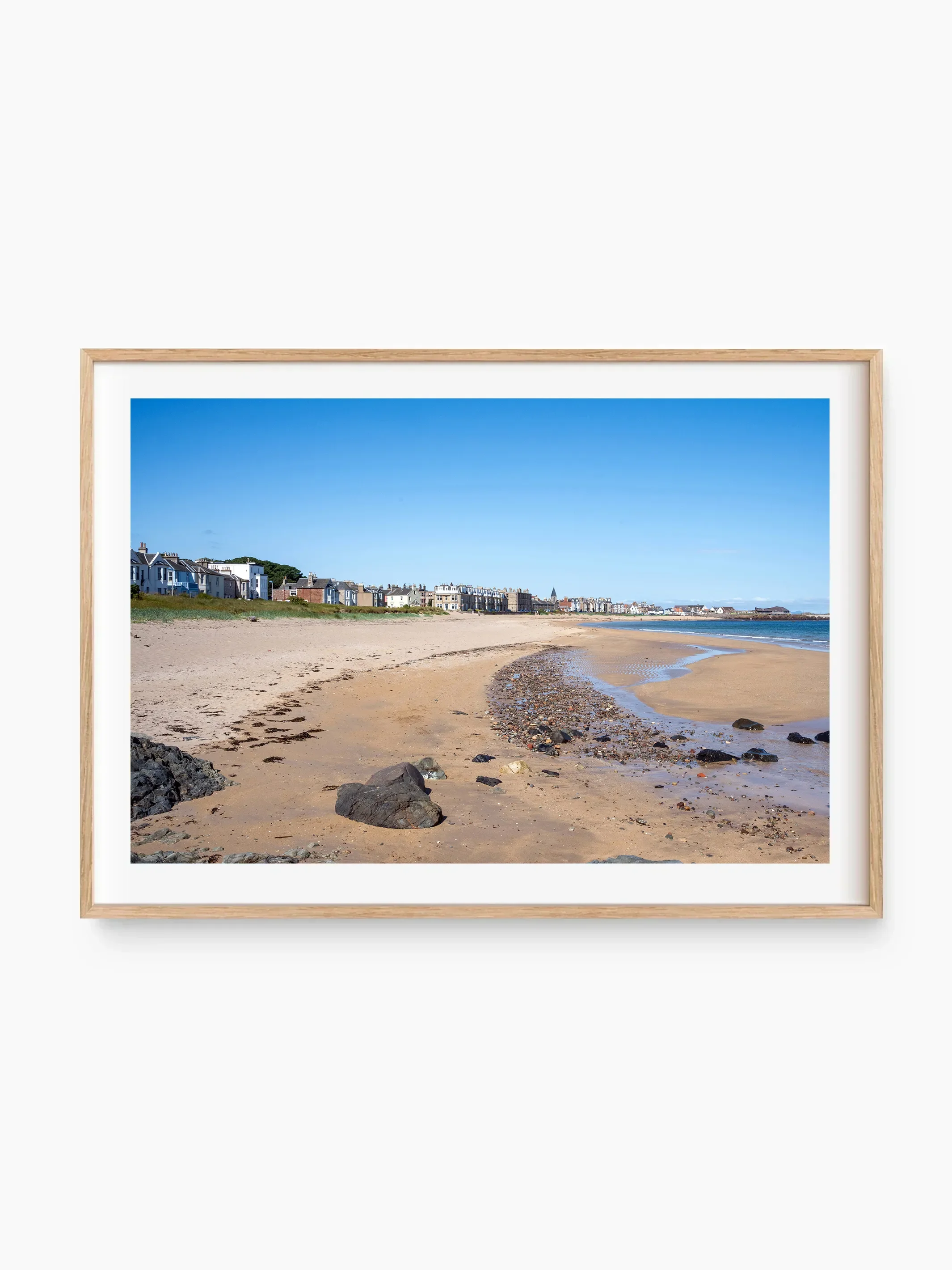 beech_template copy 2.webp