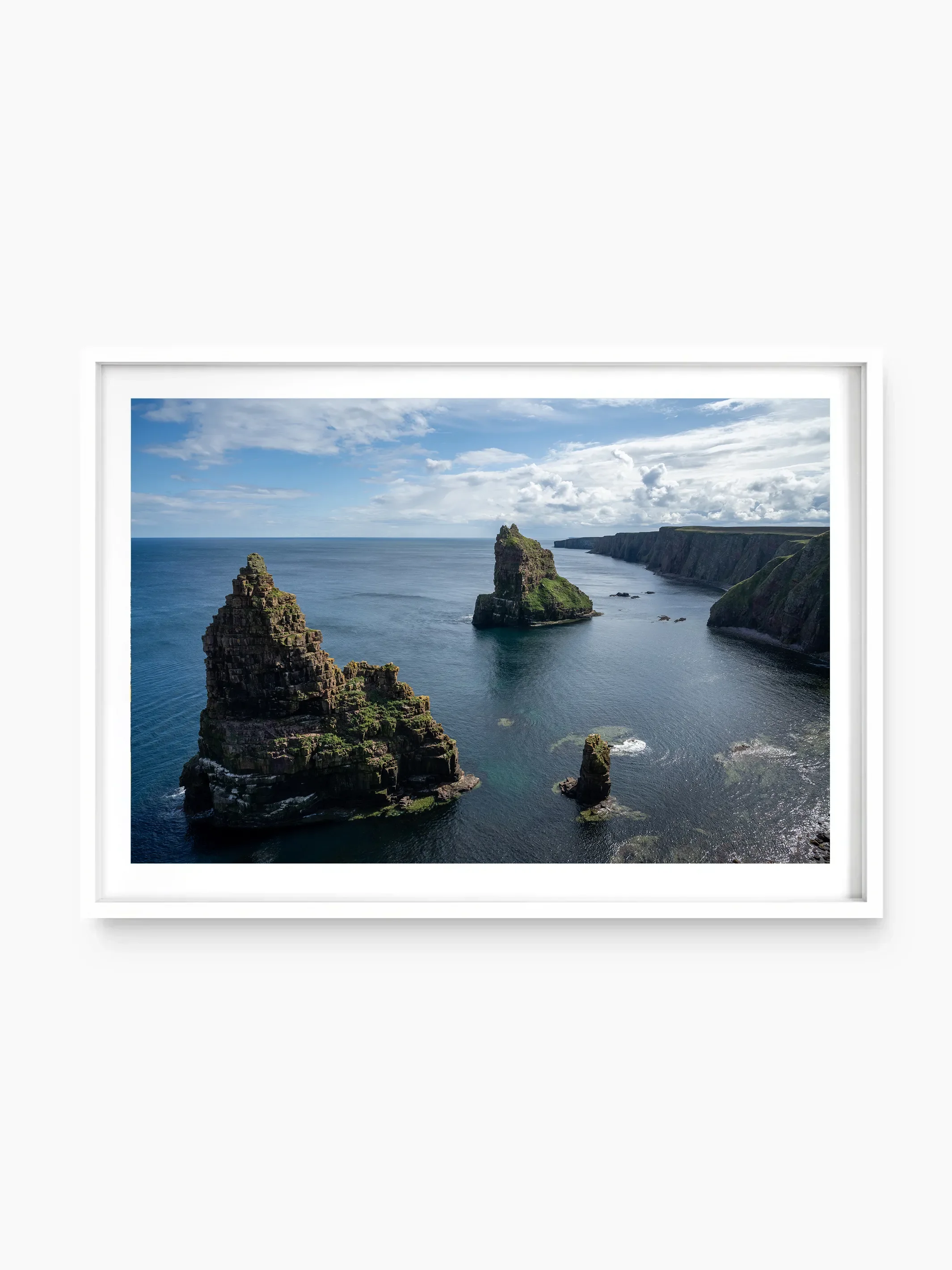 white_template copy.webp