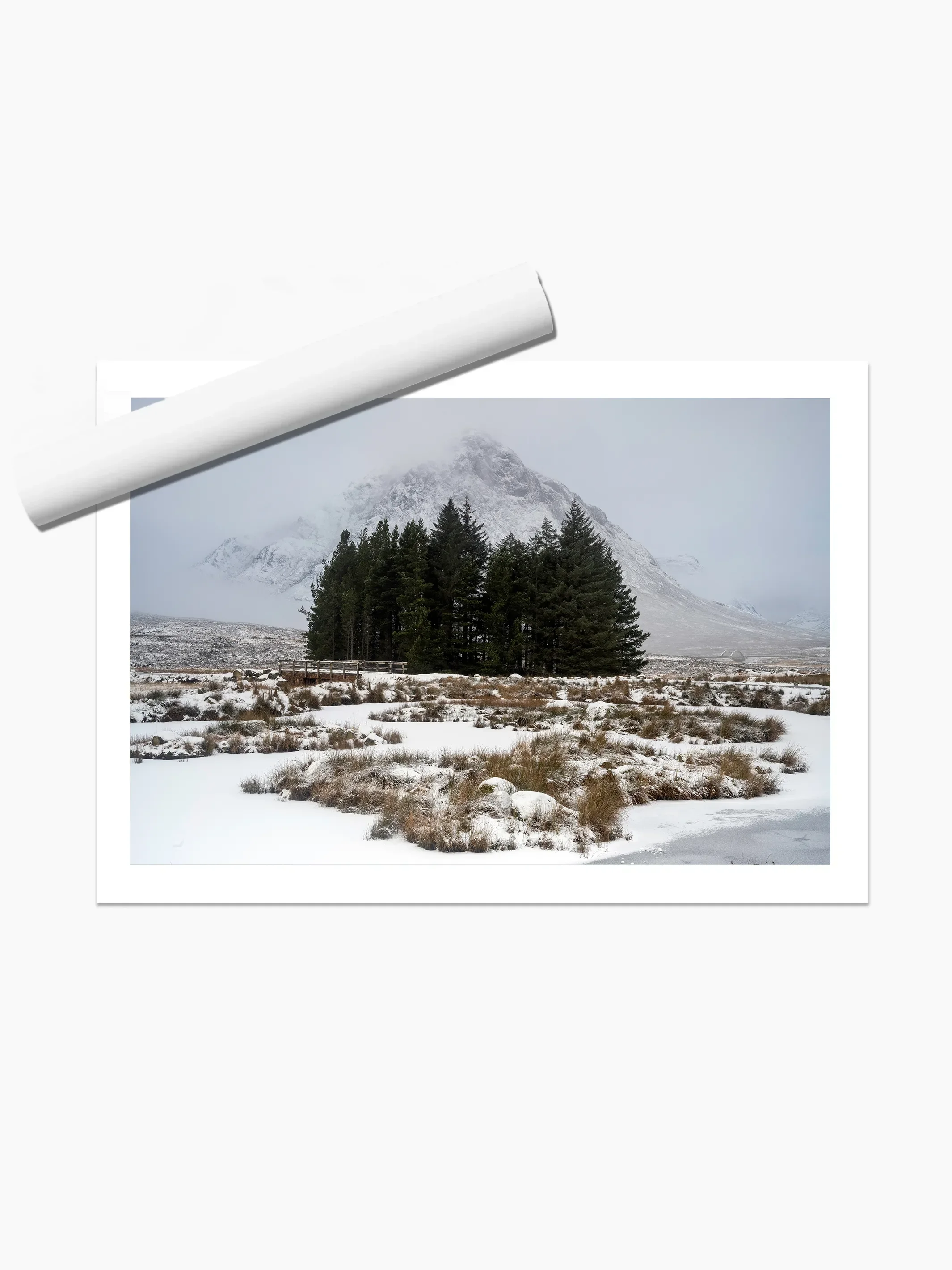 print template copy.webp