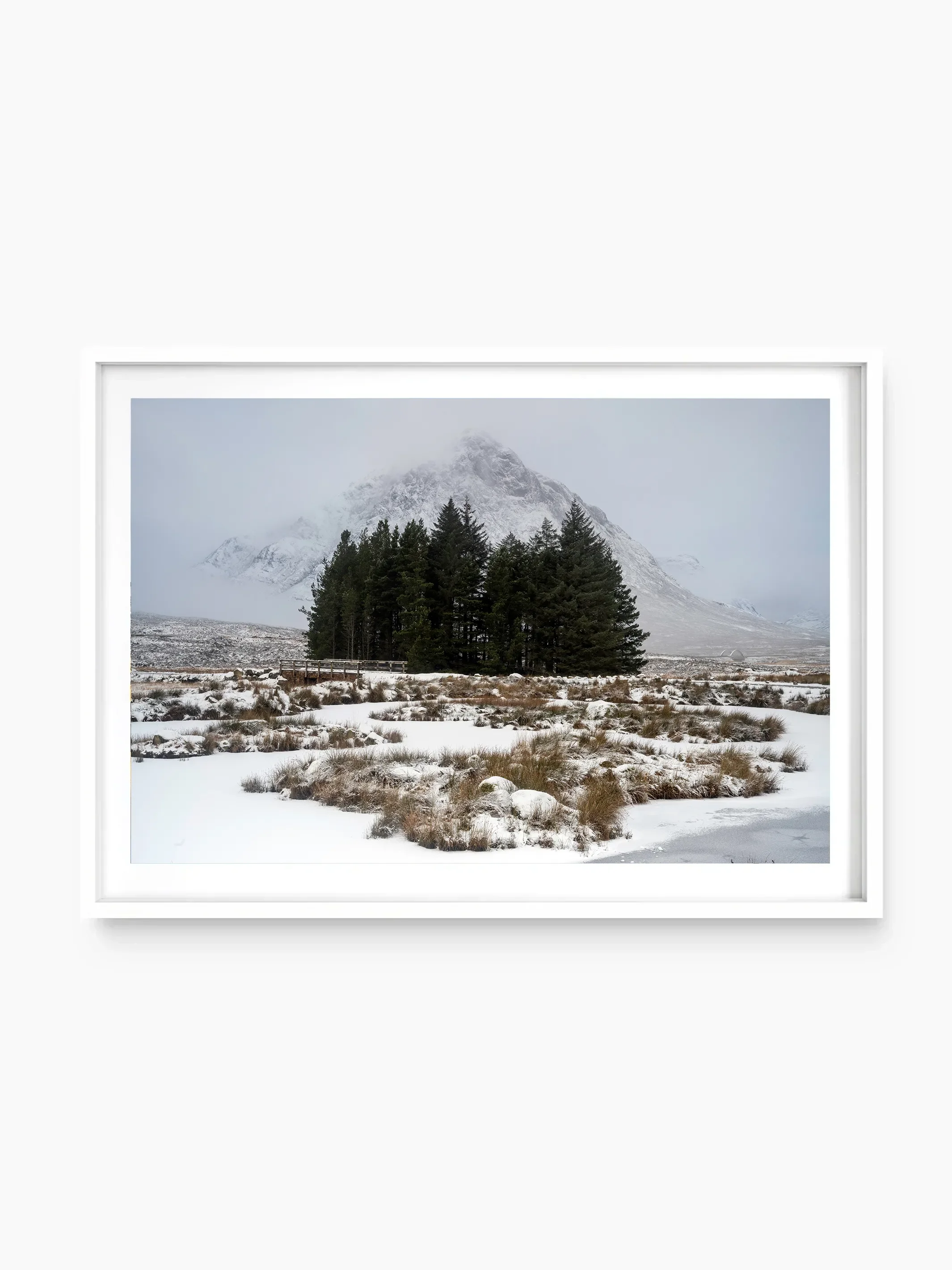 white_template copy.webp