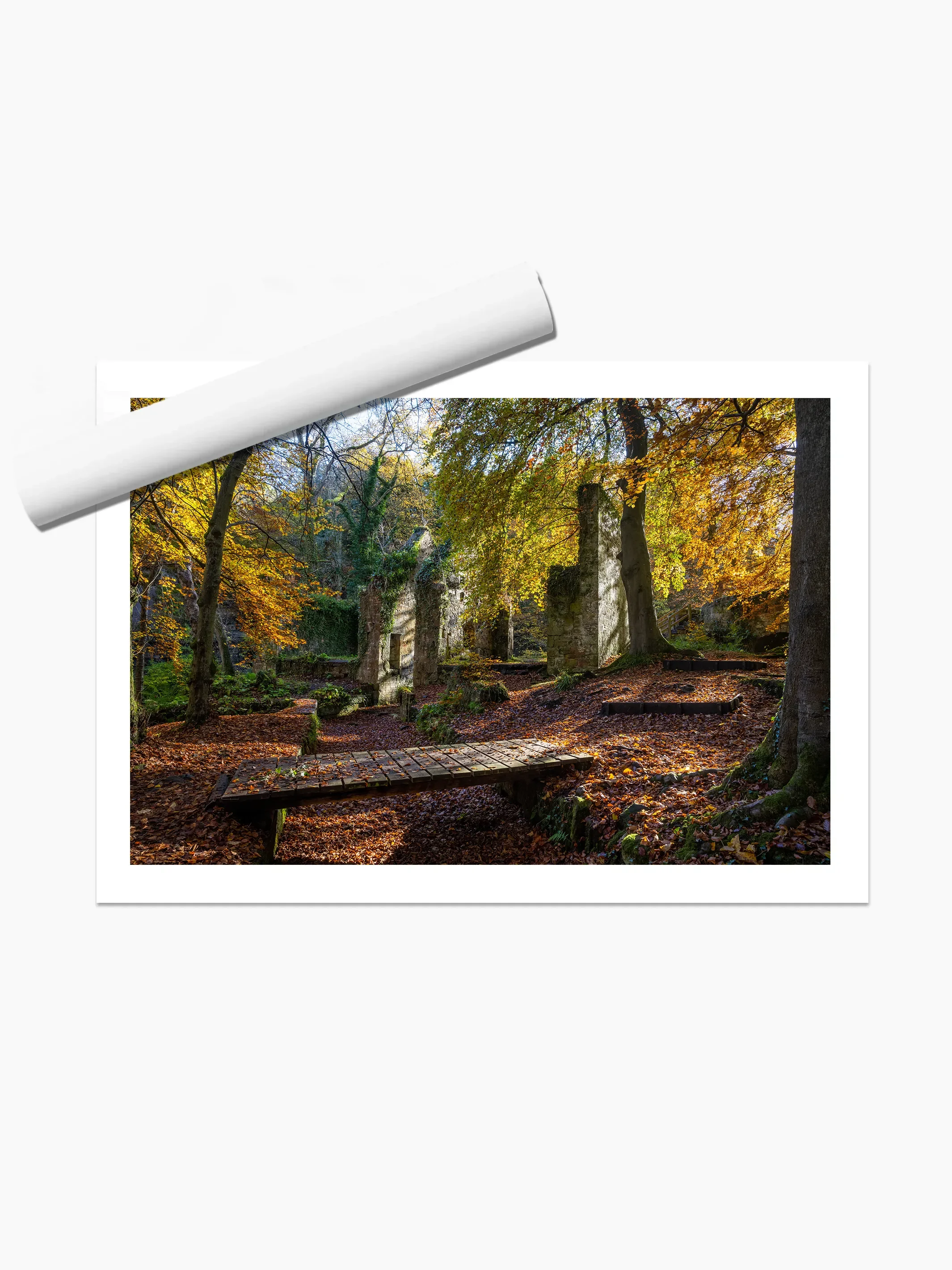 print template copy.webp