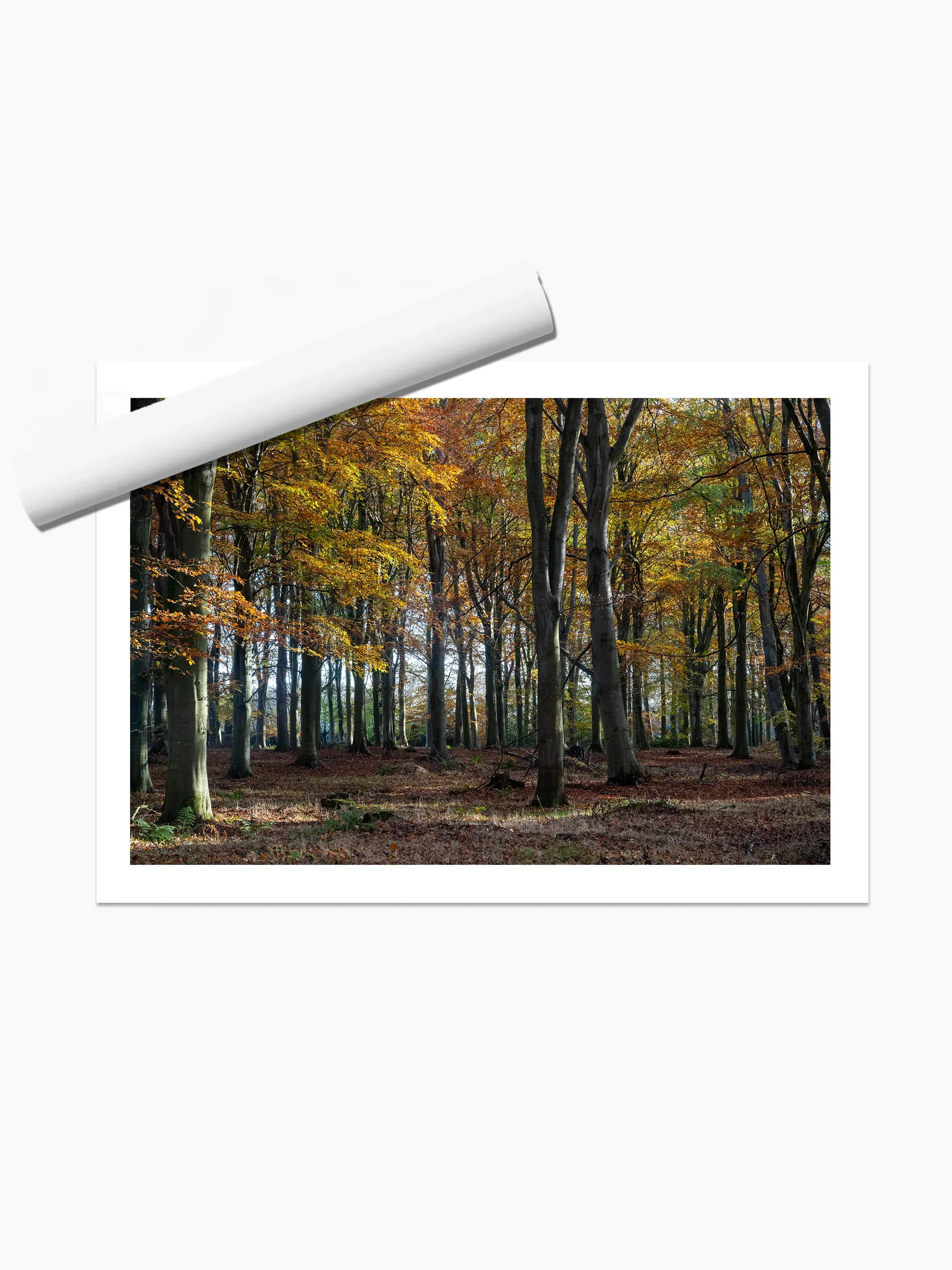 print template copy.webp