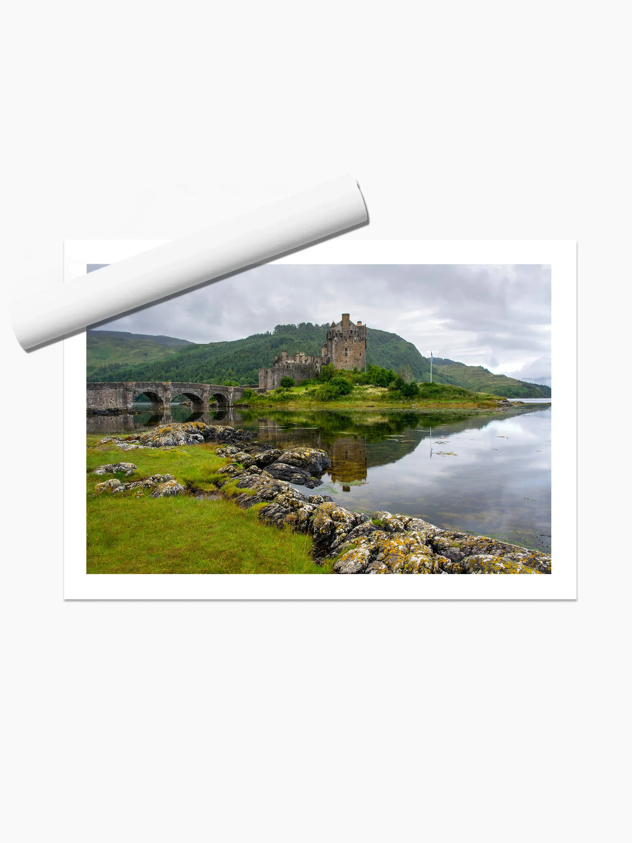 print template copy.webp
