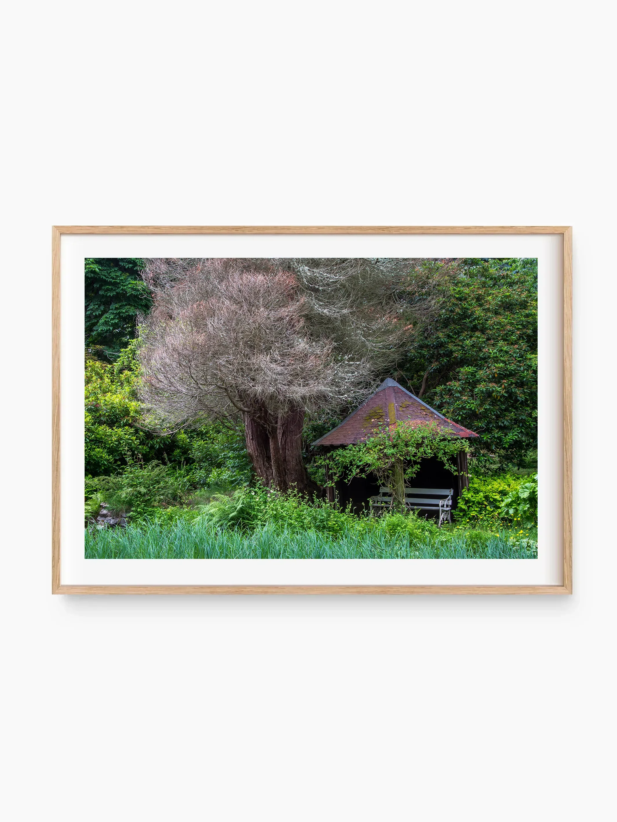 beech_template copy.webp