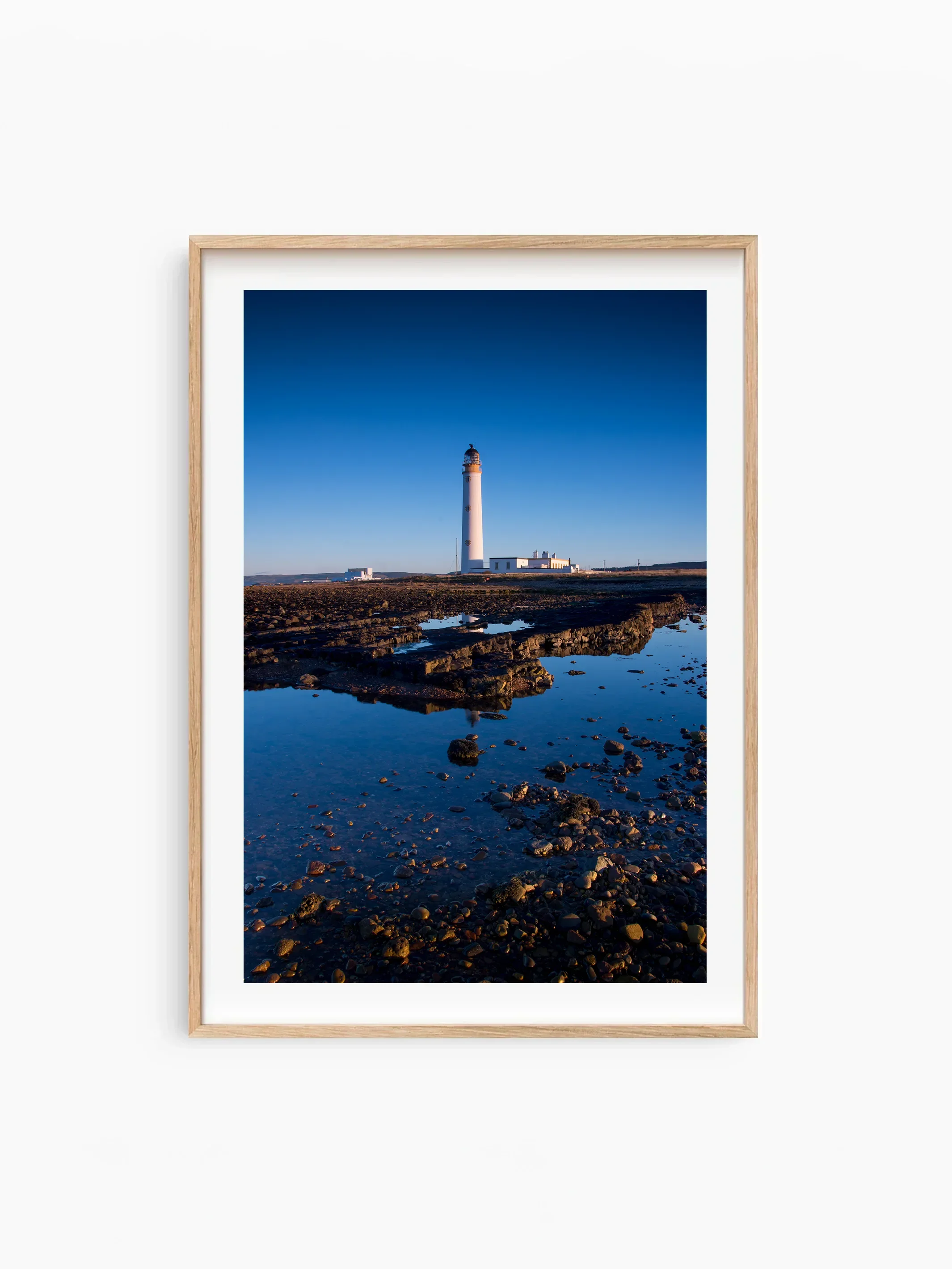 Portrait_Beech_template copy.webp