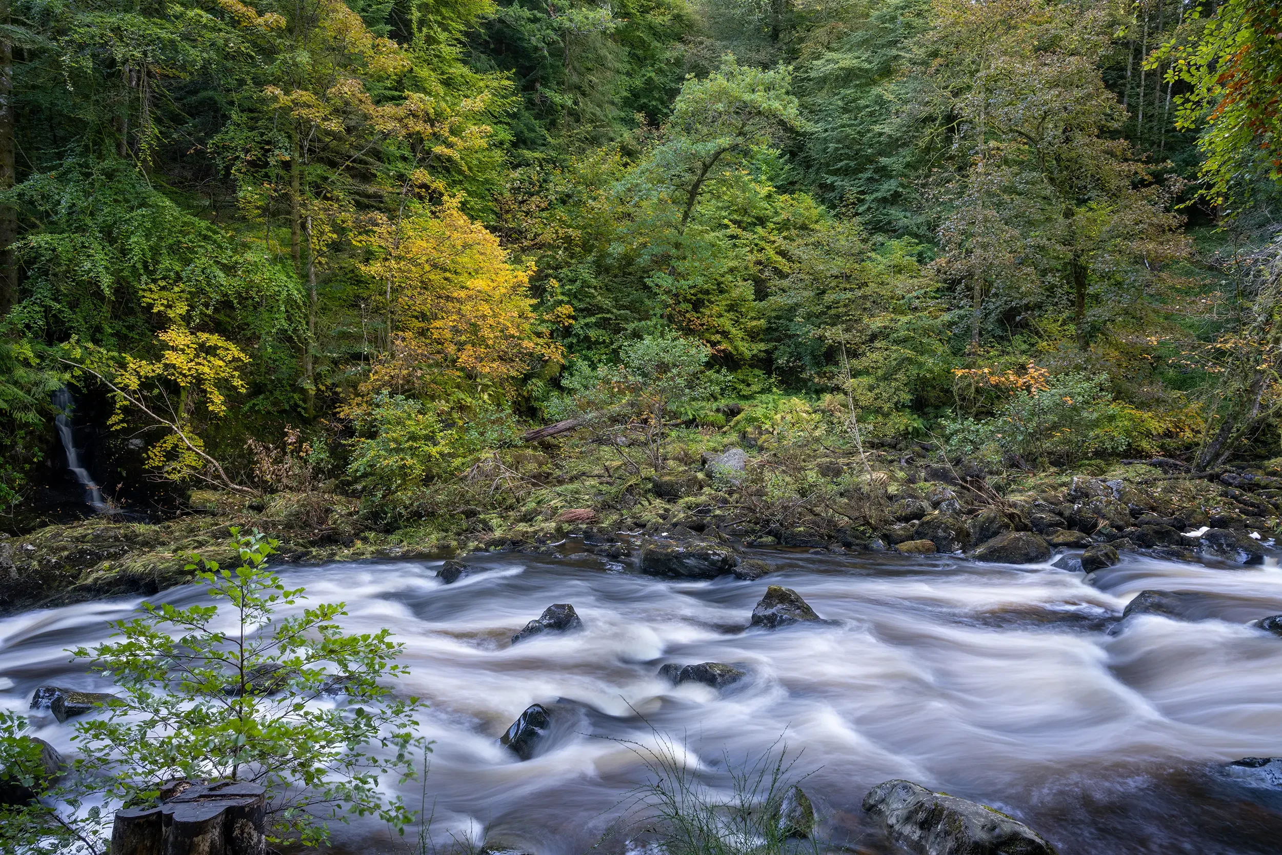The Hermitage, Perth