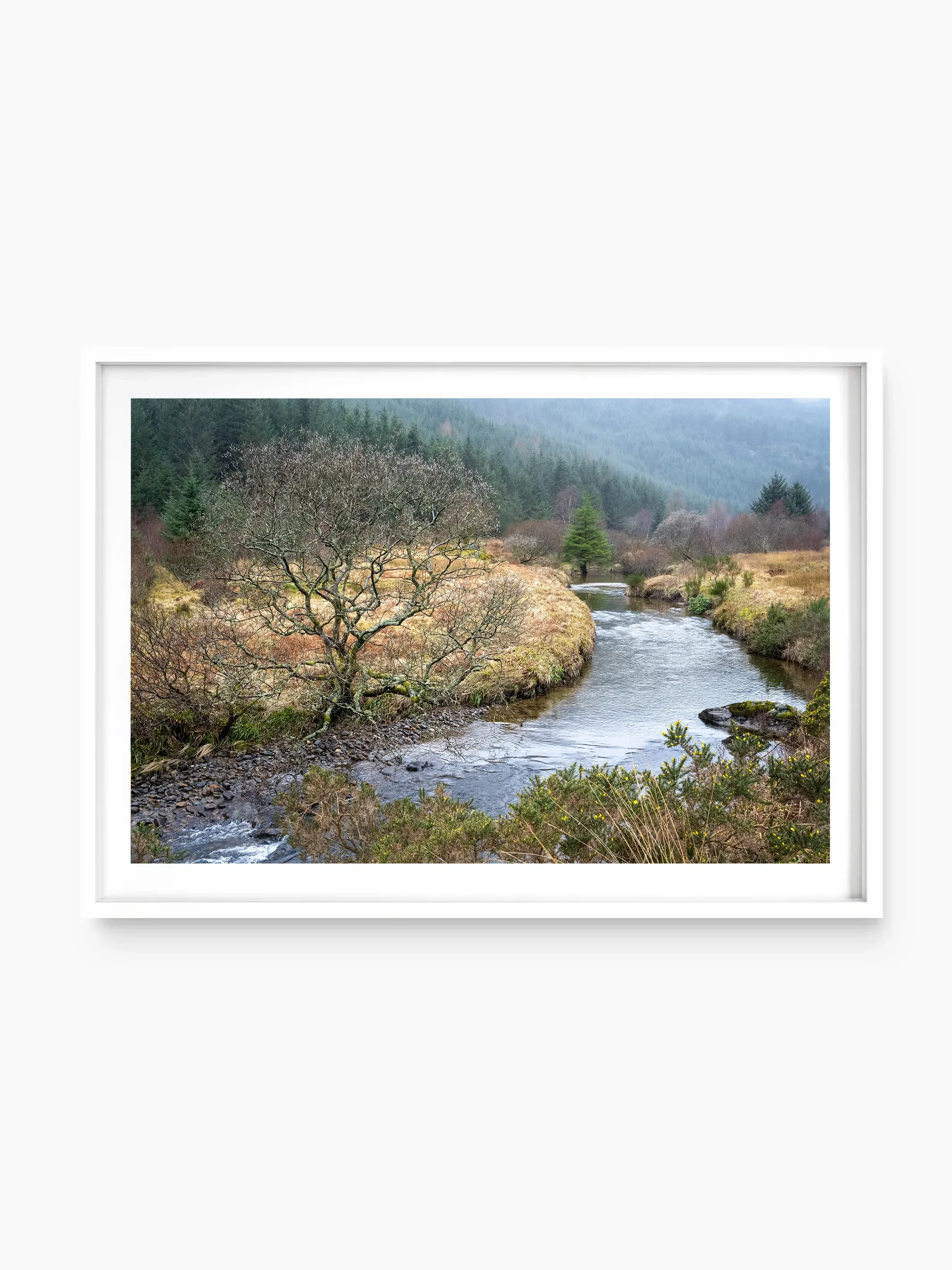 white_template copy.webp