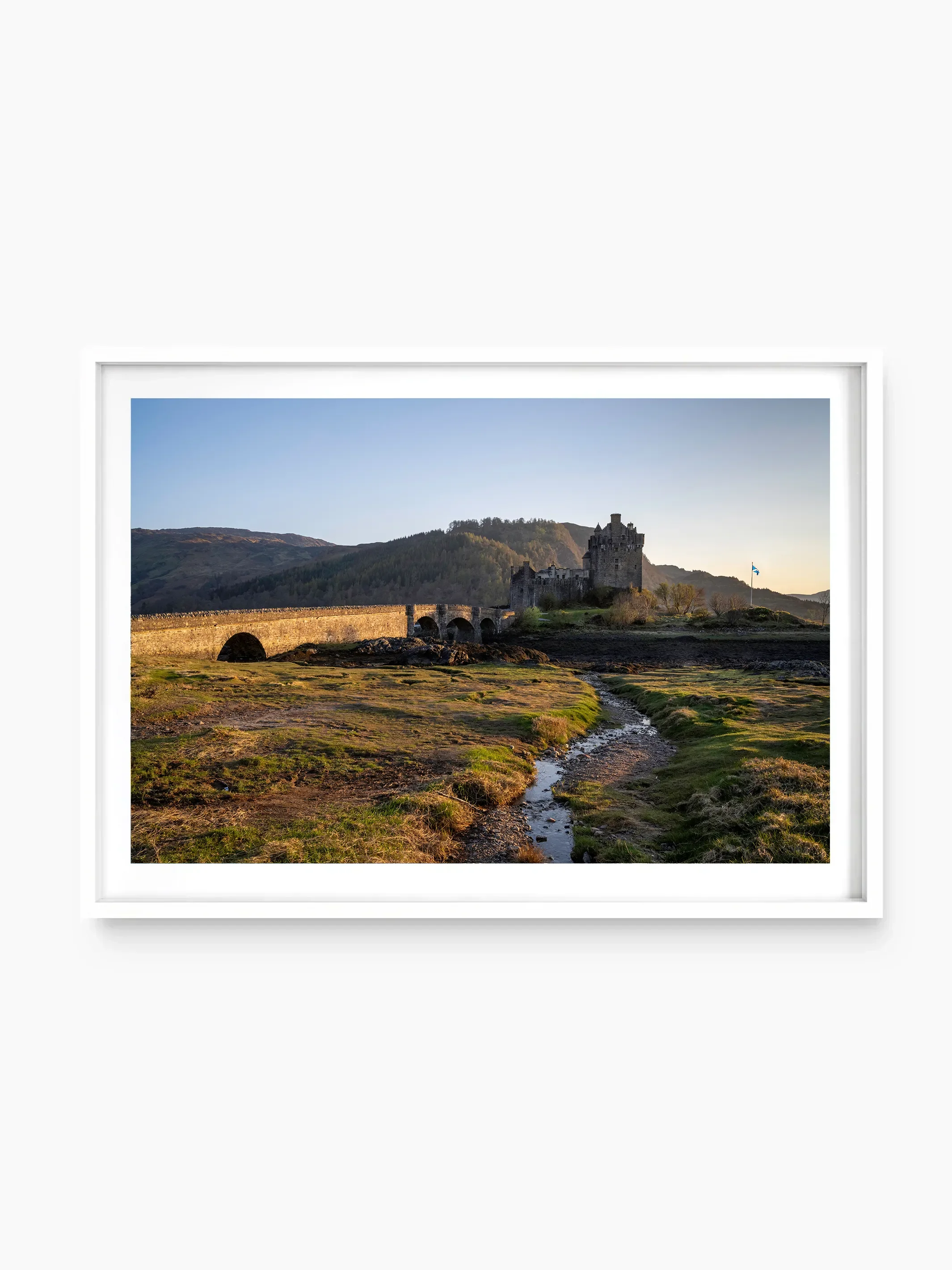 white_template copy.webp