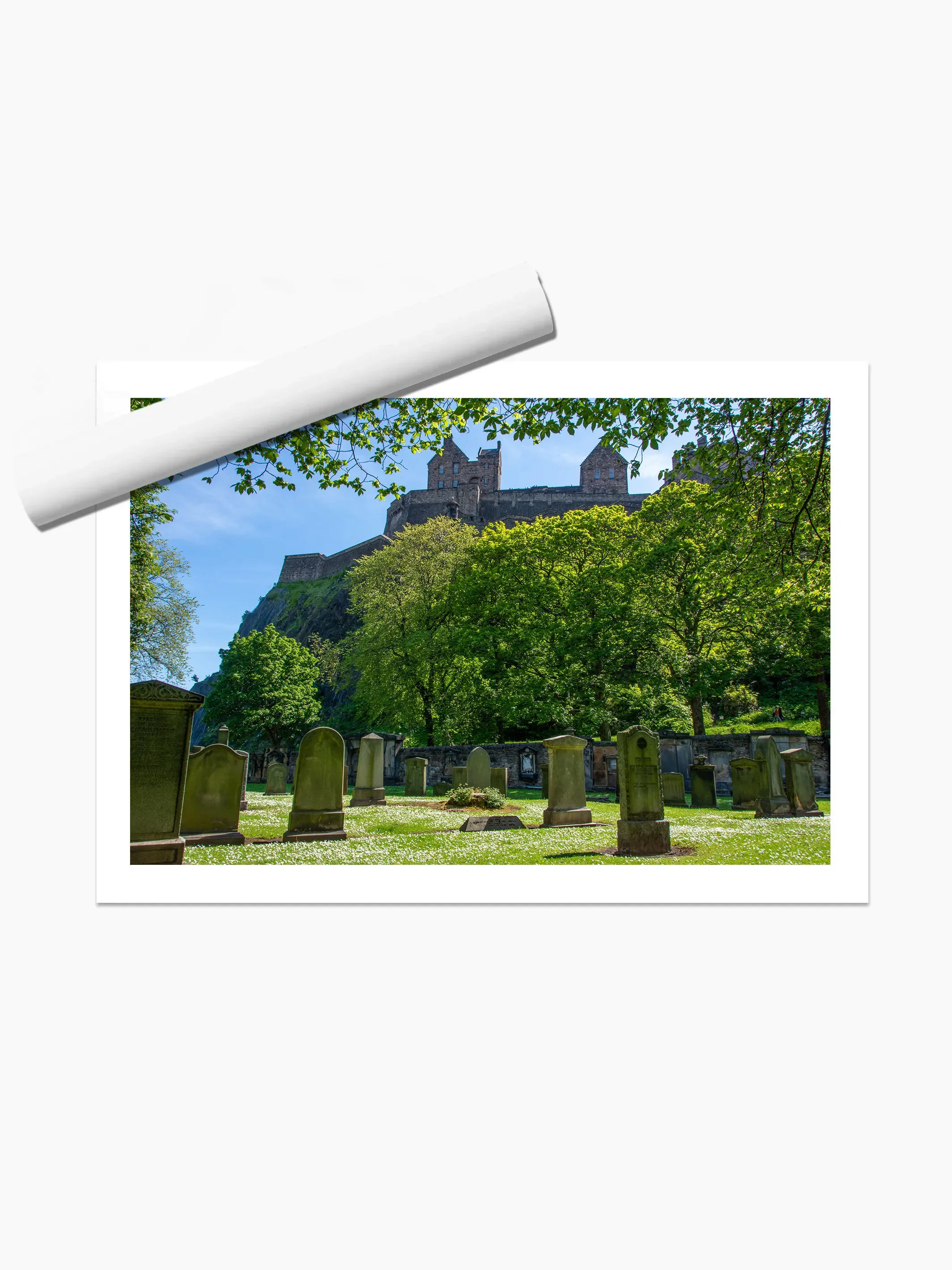 print template copy.webp