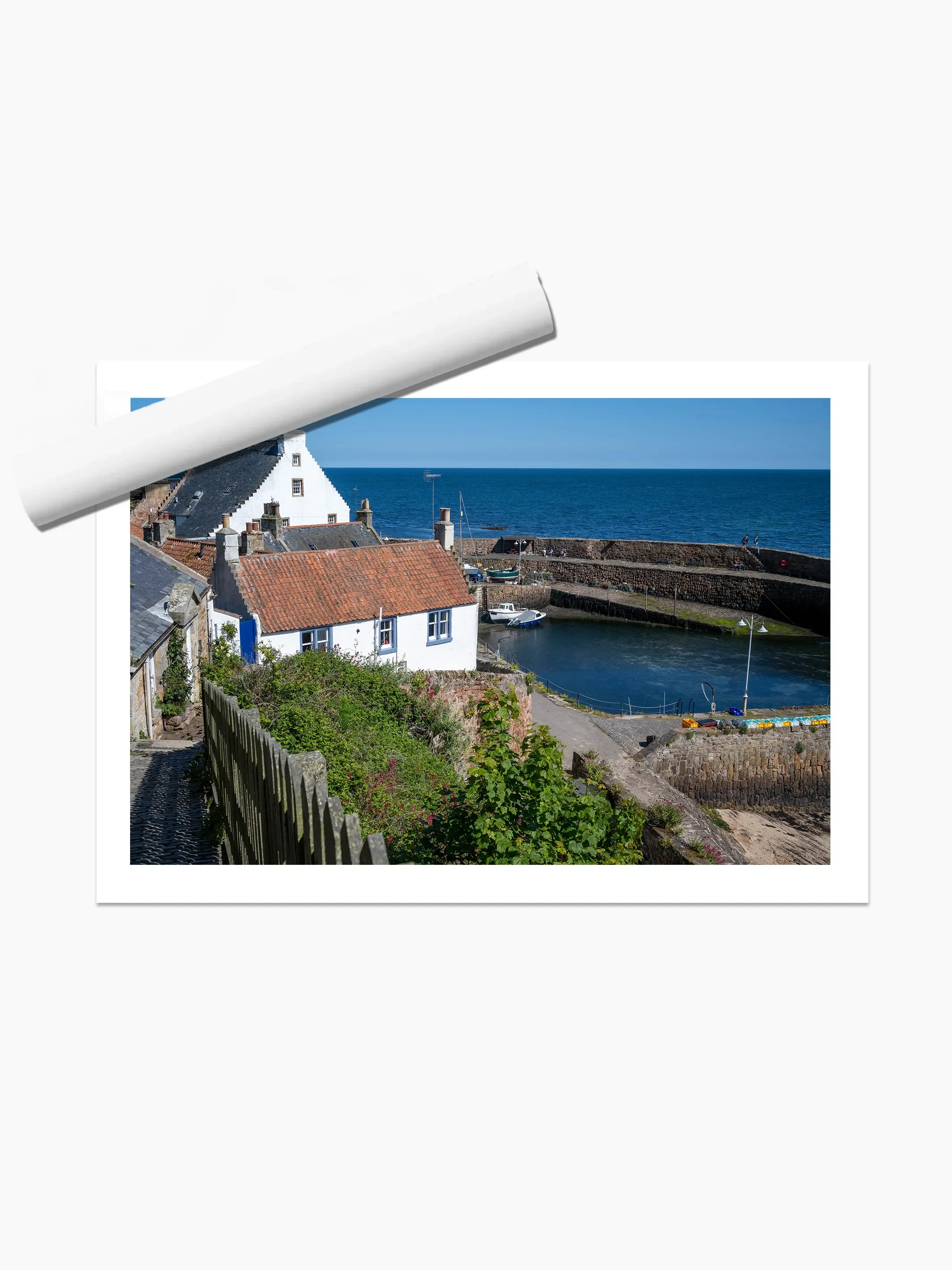 print template copy.webp