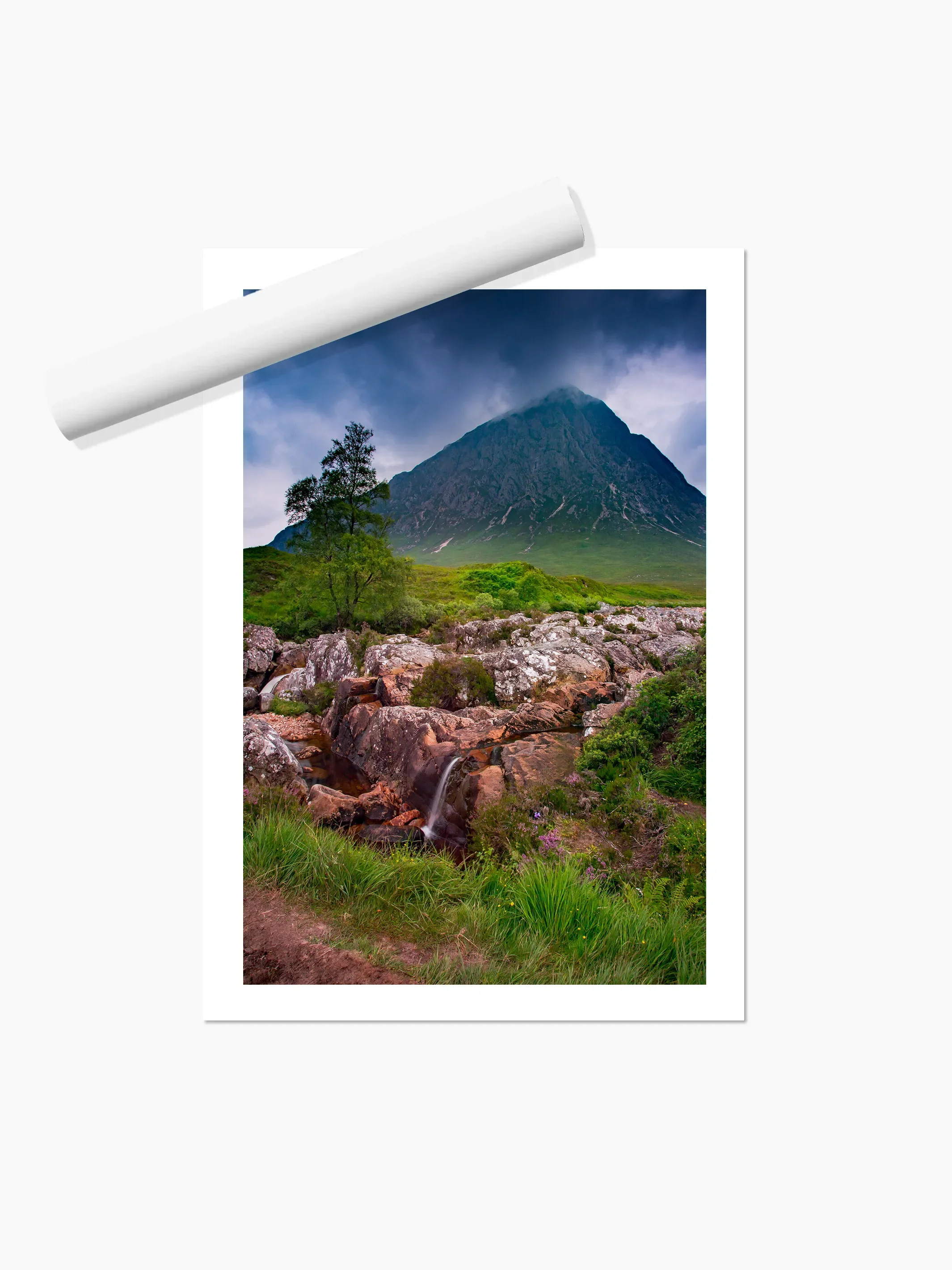 Portrait_print copy.webp