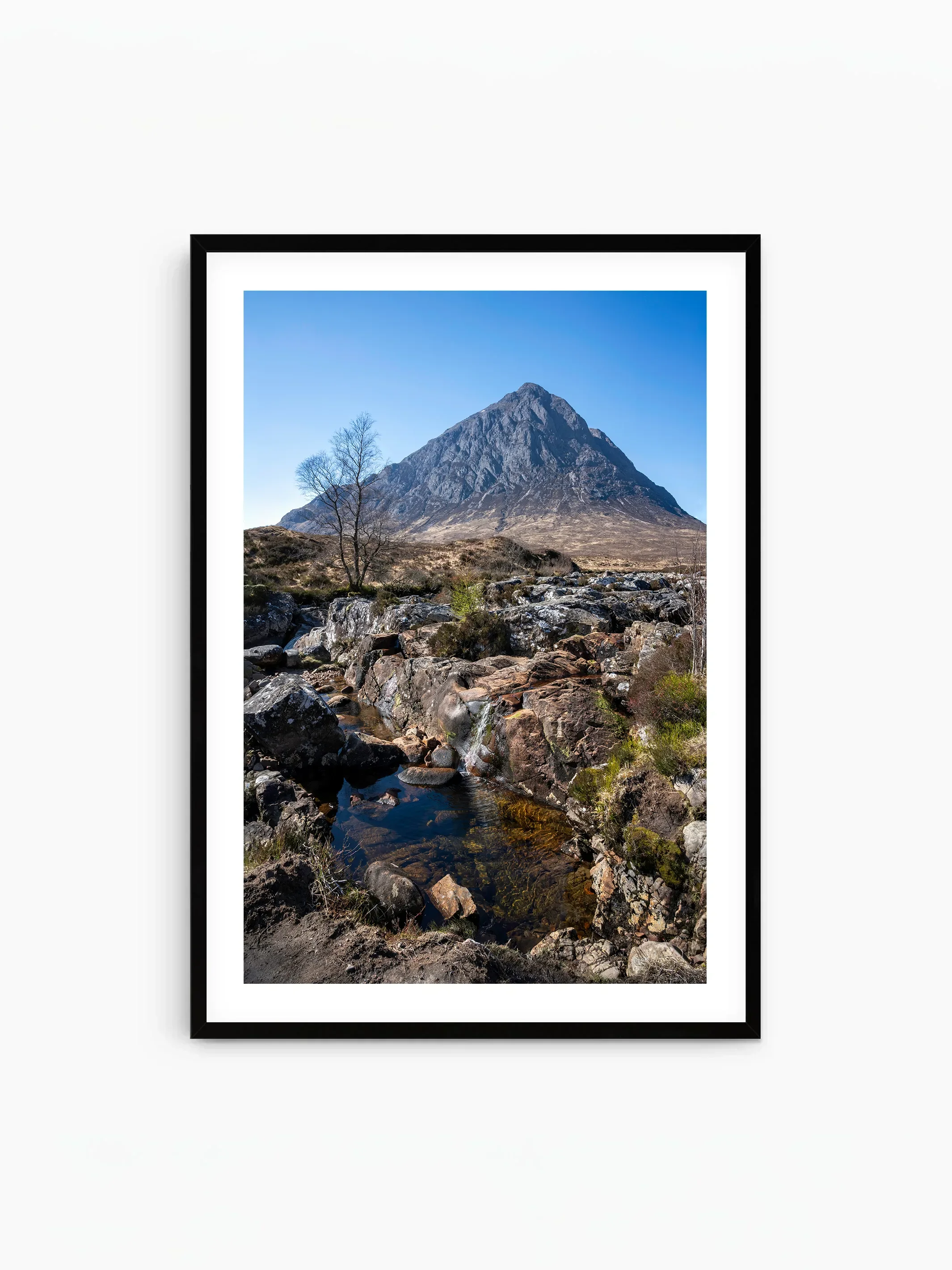 portrait_black_template copy.webp