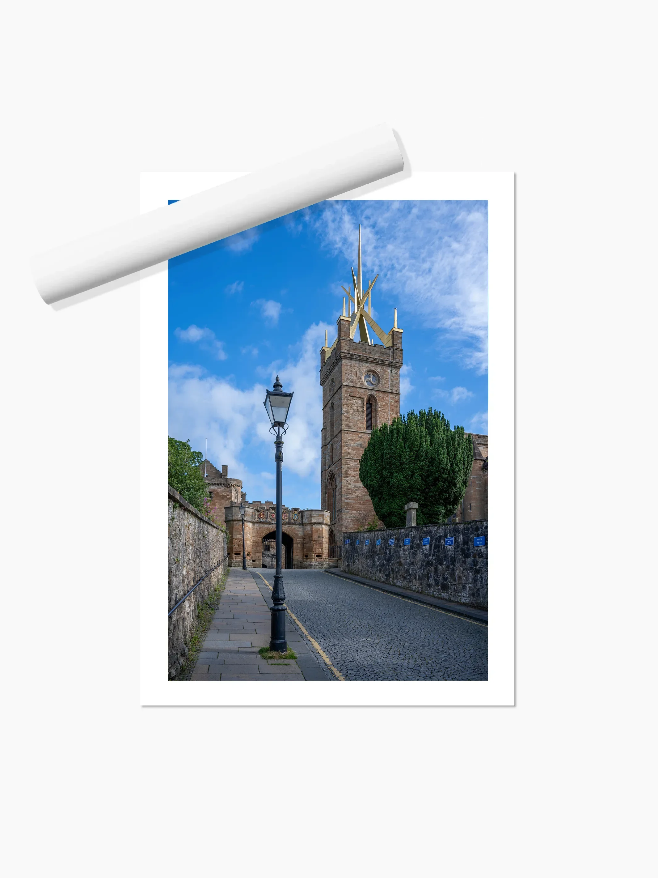 Portrait_print copy.webp