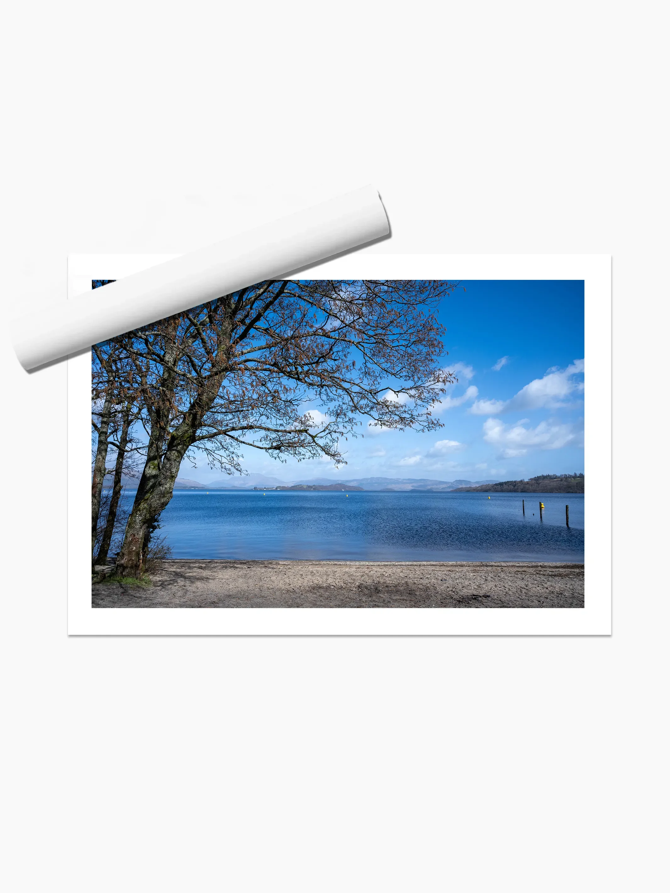 print template copy.webp